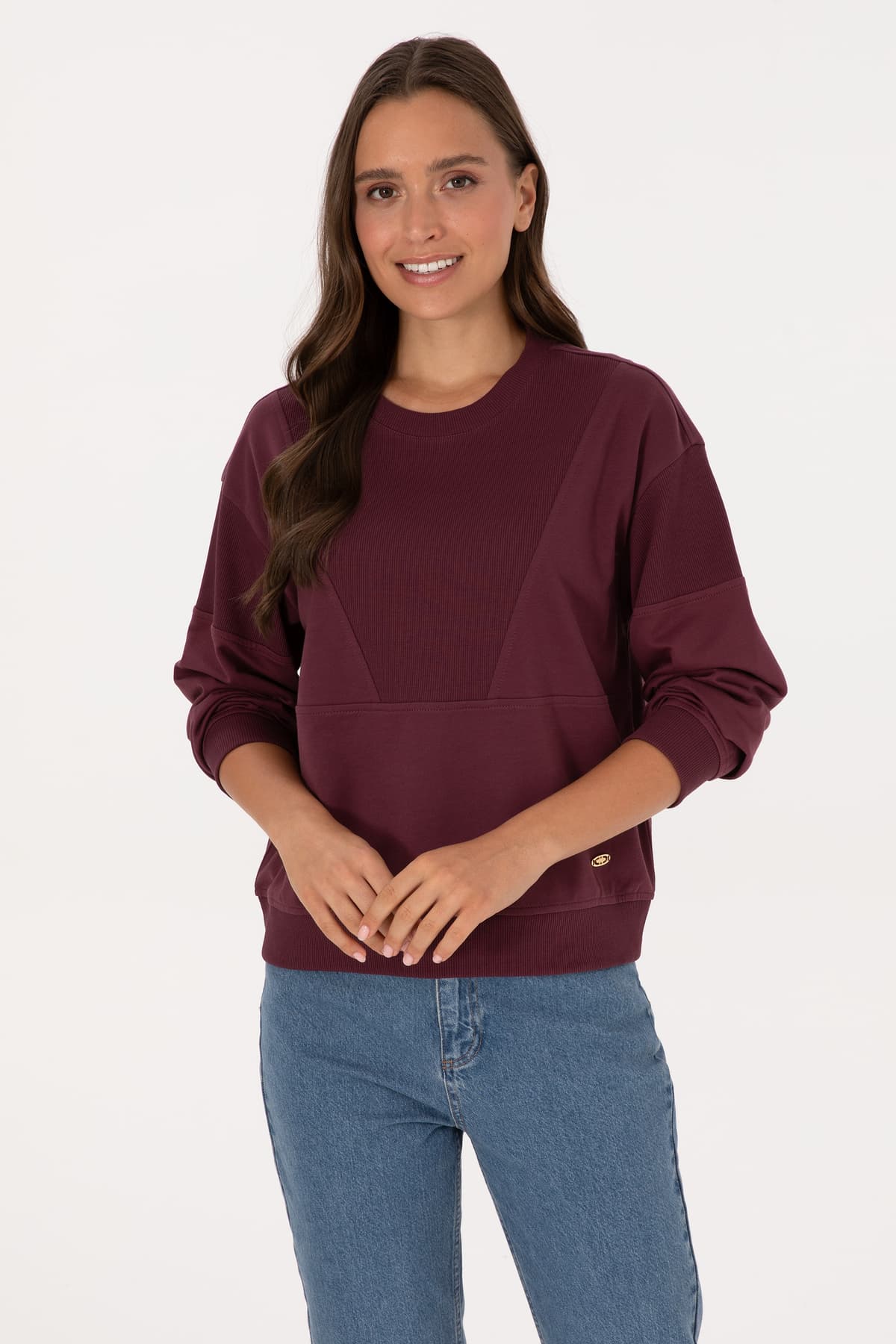 سوئیشرت زنانه U.S. Polo Assn. زرشکی نخی یقه گرد مدل 50314170-VR177 سوئیشرت زنانه U.S. Polo Assn. زرشکی نخی یقه گرد مدل 50314170-VR177