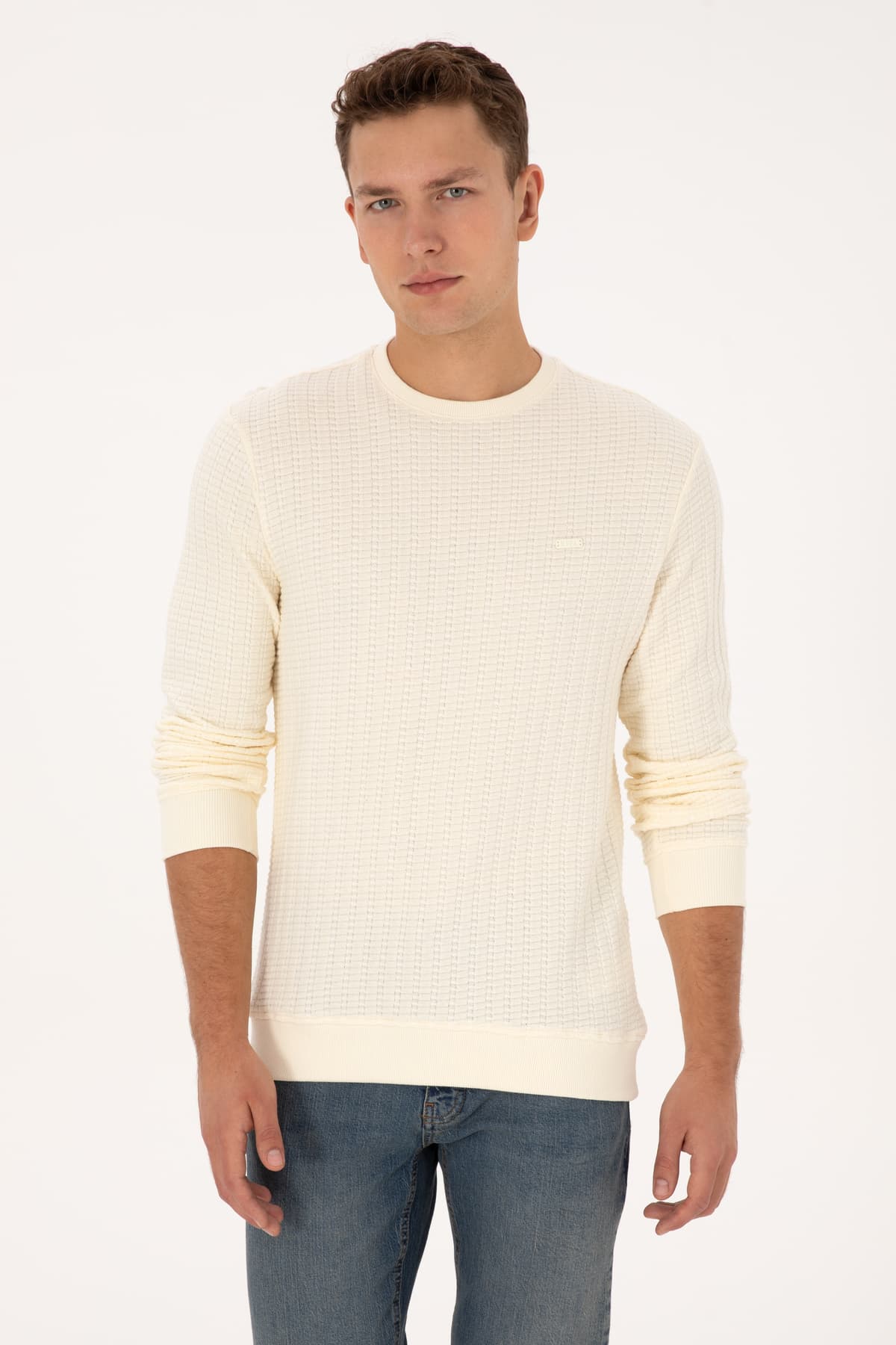 سویشرت مردانه U.S. Polo Assn. فیت معمولی یقه گرد طرحدار کرم مدل 50308917-VR256 سویشرت مردانه U.S. Polo Assn. فیت معمولی یقه گرد طرحدار کرم مدل 50308917-VR256