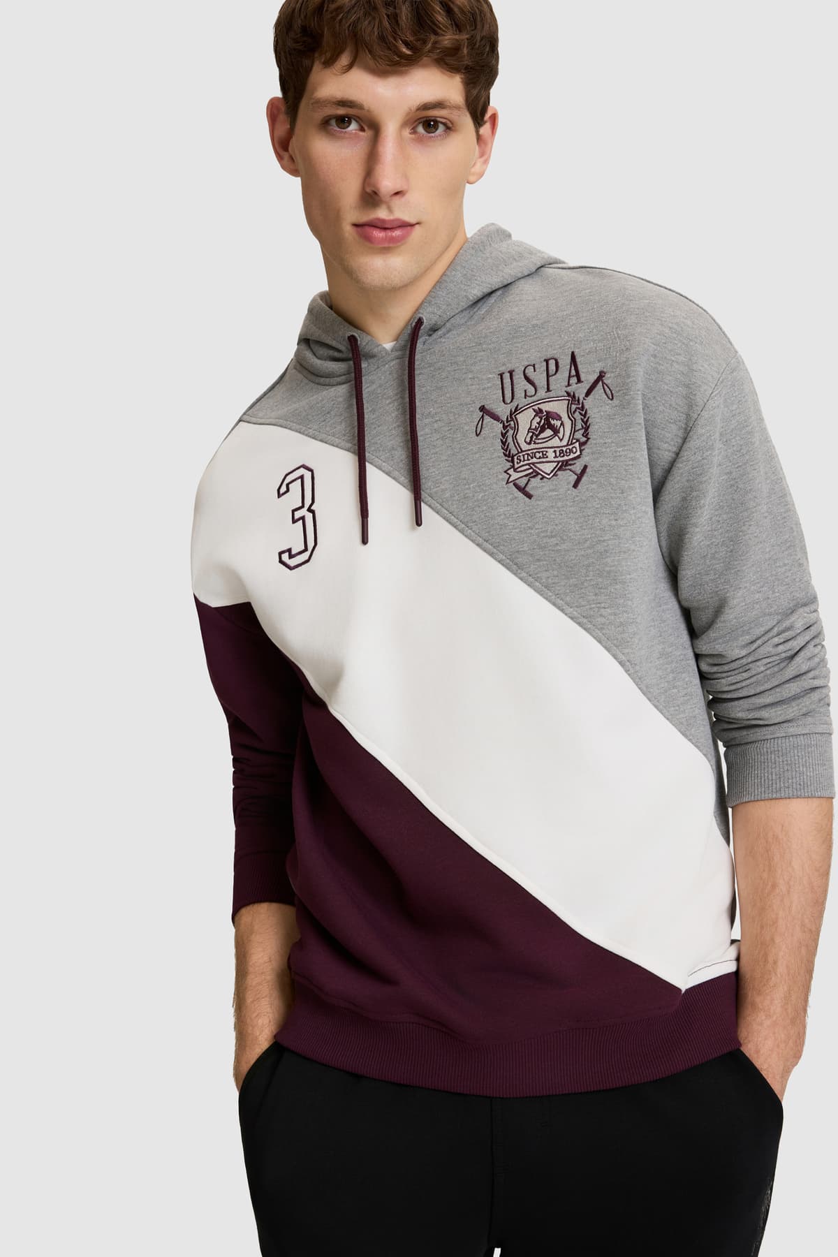 سوئیشرت مردانه U.S. Polo Assn. بوردو مدل 50329471-VR180 سوئیشرت مردانه U.S. Polo Assn. بوردو مدل 50329471-VR180
