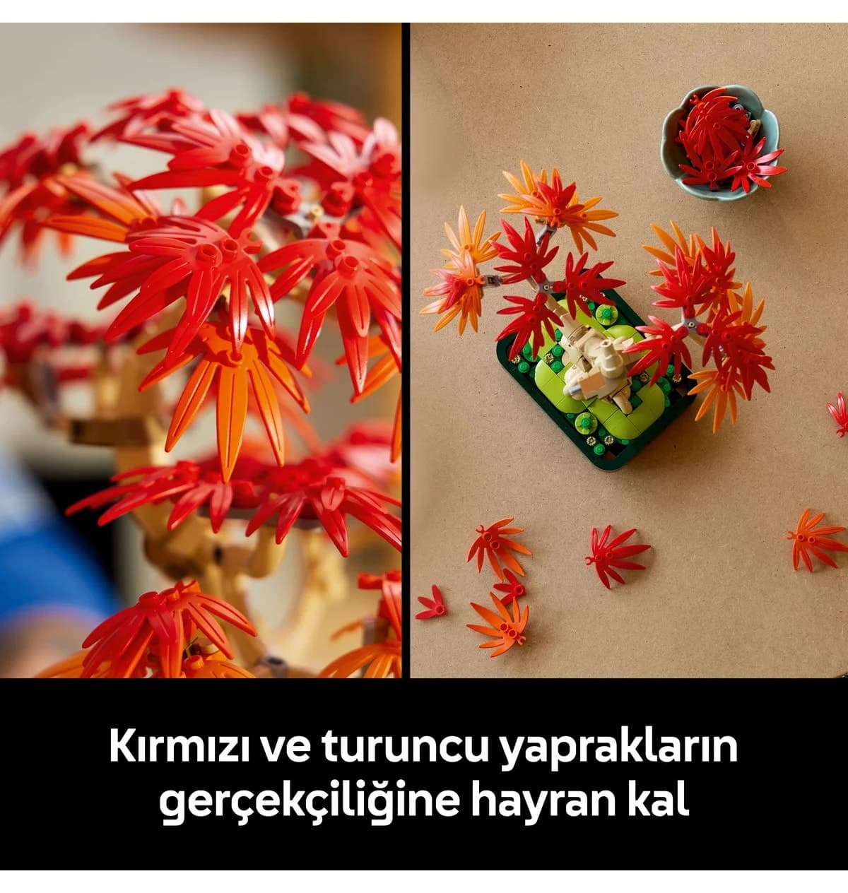 لگو Botanicals درخت بونسای افرای ژاپنی قرمز مدل 10348 با 474 قطعه لگو Botanicals درخت بونسای افرای ژاپنی قرمز مدل 10348 با 474 قطعه