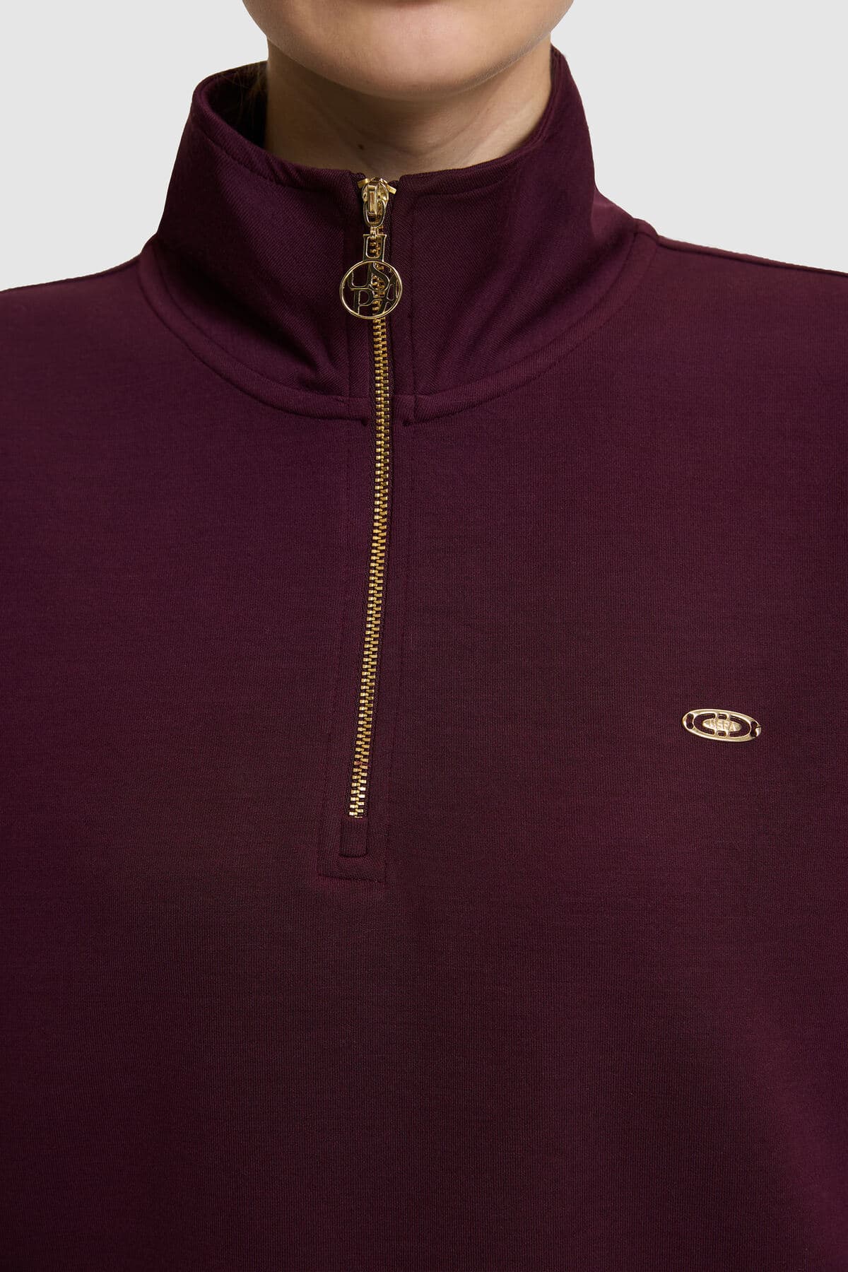 سوئیشرت زنانه U.S. Polo Assn. بوردو مدل 50333502-VR180 سوئیشرت زنانه U.S. Polo Assn. بوردو مدل 50333502-VR180