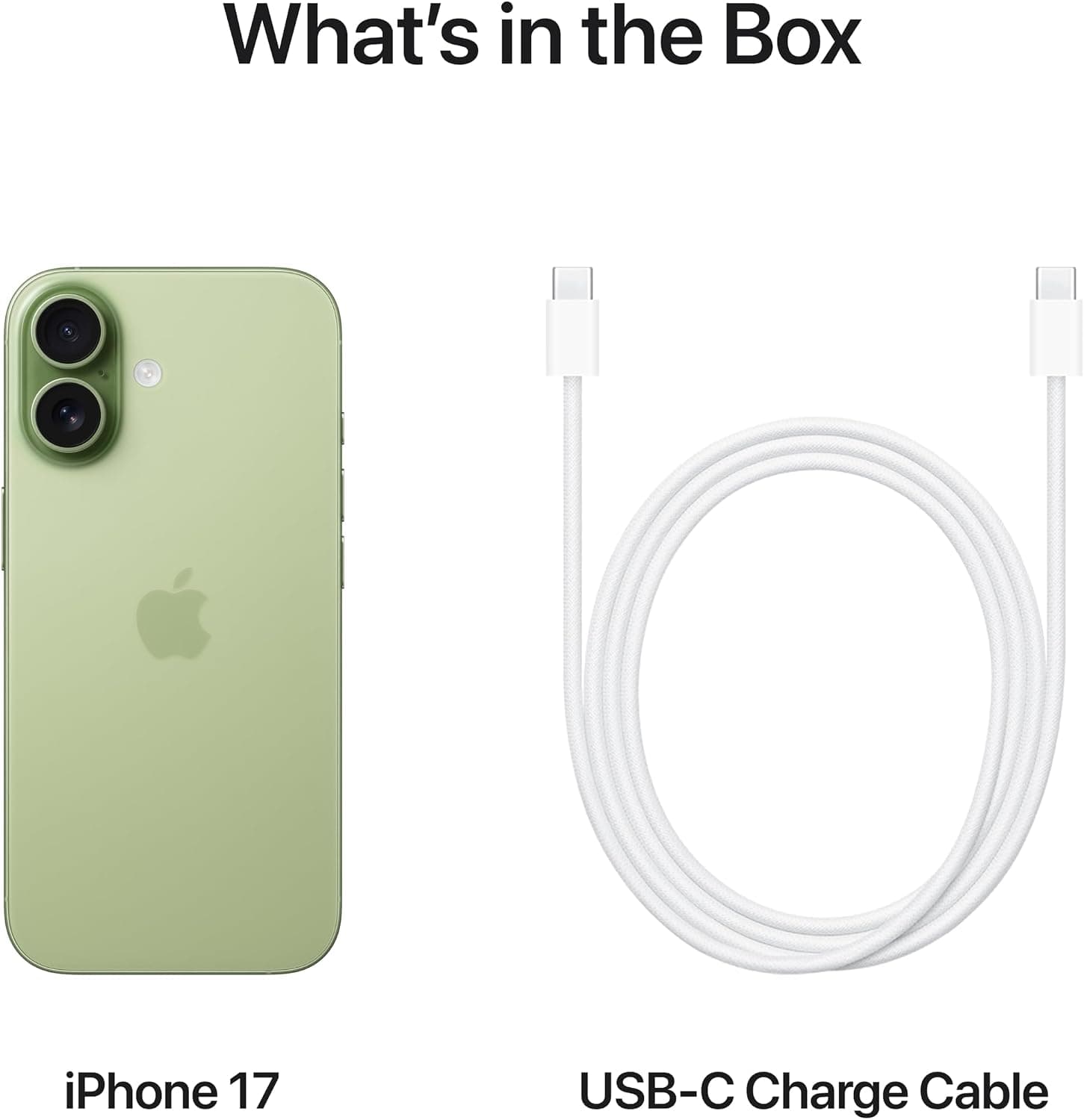 گوشی موبایل Apple مدل iPhone 17 256GB رنگ سبز مریمی گوشی موبایل Apple مدل iPhone 17 256GB رنگ سبز مریمی