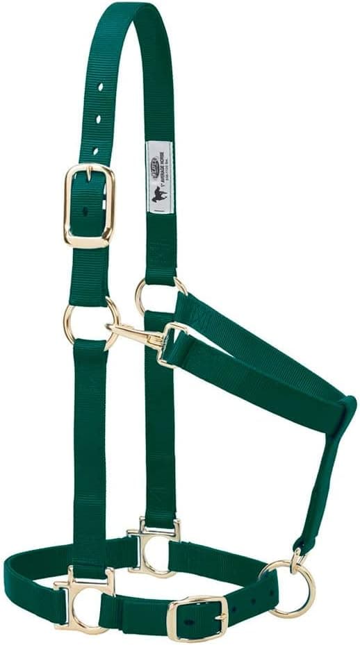 هالتر اسب Weaver Equine نایلونی قابل تنظیم Weaver Leather سبز شکاری، عرض 2.54 cm، مناسب اسب متوسط هالتر اسب Weaver Equine نایلونی قابل تنظیم Weaver Leather سبز شکاری، عرض 2.54 cm، مناسب اسب متوسط