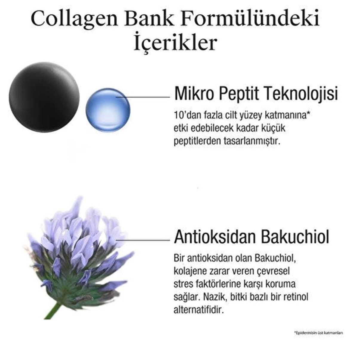 ست بالم لب حجمدهنده و کرم شب آبرسان Neutrogena Collagen Bank 12ml + 50ml ست بالم لب حجمدهنده و کرم شب آبرسان Neutrogena Collagen Bank 12ml + 50ml