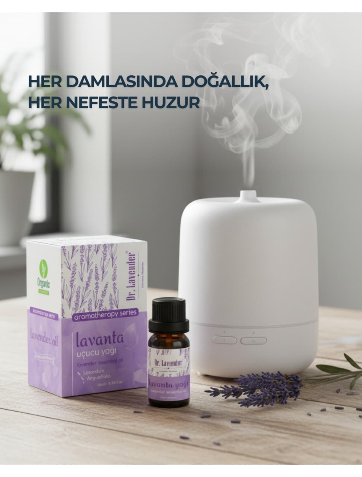 اسانس اسطوخودوس Dr.Lavender خالص و طبیعی %100 سری آروماتراپی 10 ML اسانس اسطوخودوس Dr.Lavender خالص و طبیعی %100 سری آروماتراپی 10 ML