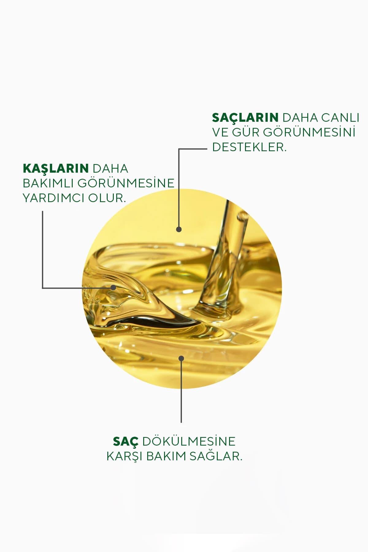 کمپلکس روغن موی رزماری The Ceel حاوی بیوتین، روغن کرچک و ویتامین E 50 ML کمپلکس روغن موی رزماری The Ceel حاوی بیوتین، روغن کرچک و ویتامین E 50 ML