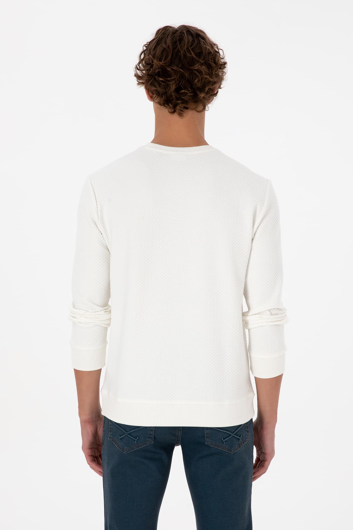سویشرت مردانه U.S. Polo Assn. فیت معمولی یقه گرد کرم مدل 50308649-VR071 سویشرت مردانه U.S. Polo Assn. فیت معمولی یقه گرد کرم مدل 50308649-VR071
