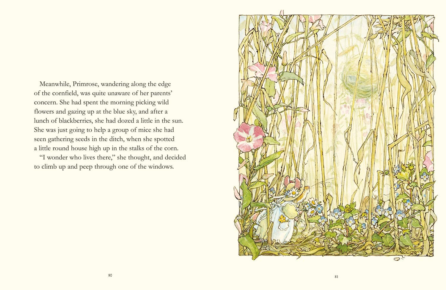 کتاب The Complete Brambly Hedge اثر Jill Barklem کتاب The Complete Brambly Hedge اثر Jill Barklem