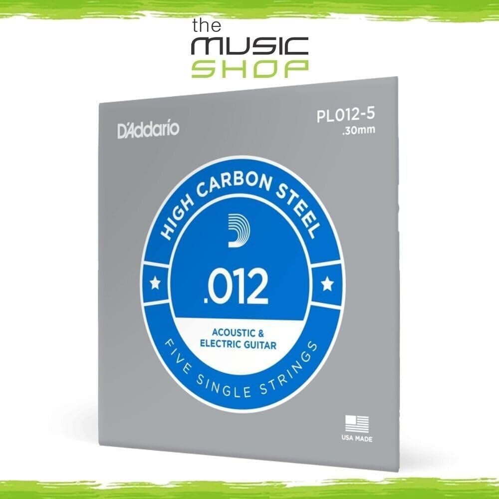 سیم تکی گیتار D'Addario الکتریک و آکوستیک نوت E (Mi) فولاد High Carbon Steel مدل PL010 سیم تکی گیتار D'Addario الکتریک و آکوستیک نوت E (Mi) فولاد High Carbon Steel مدل PL010