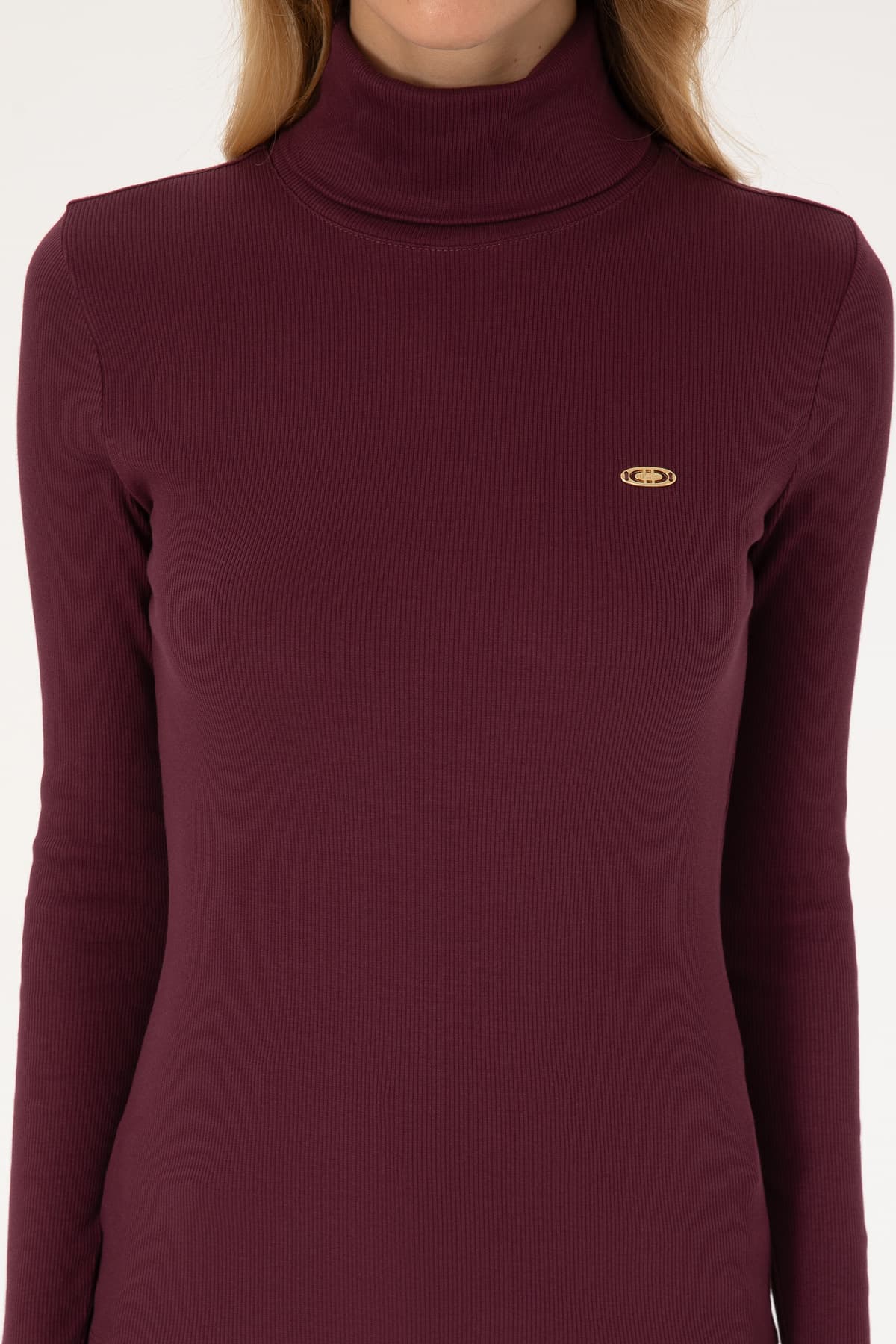 سوئیشرت زنانه U.S. Polo Assn. یقه ماهیگیری زرشکی مدل 50313430-VR177 سوئیشرت زنانه U.S. Polo Assn. یقه ماهیگیری زرشکی مدل 50313430-VR177