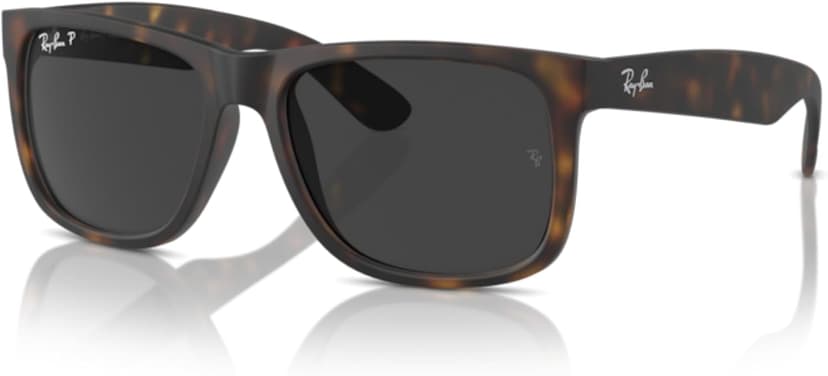 عینک آفتابی Ray-Ban مدل RB4165 JUSTIN به همراه کیت لوازم جانبی عینک آفتابی Ray-Ban مدل RB4165 JUSTIN به همراه کیت لوازم جانبی