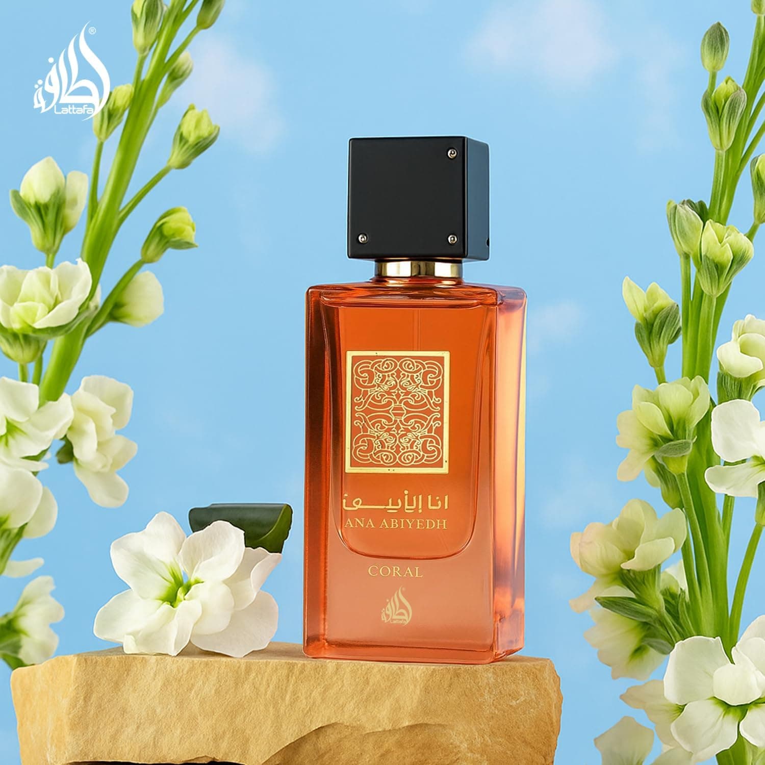عطر زنانه Lattafa Ana Abiyedh مرجانی عطر زنانه Lattafa Ana Abiyedh مرجانی