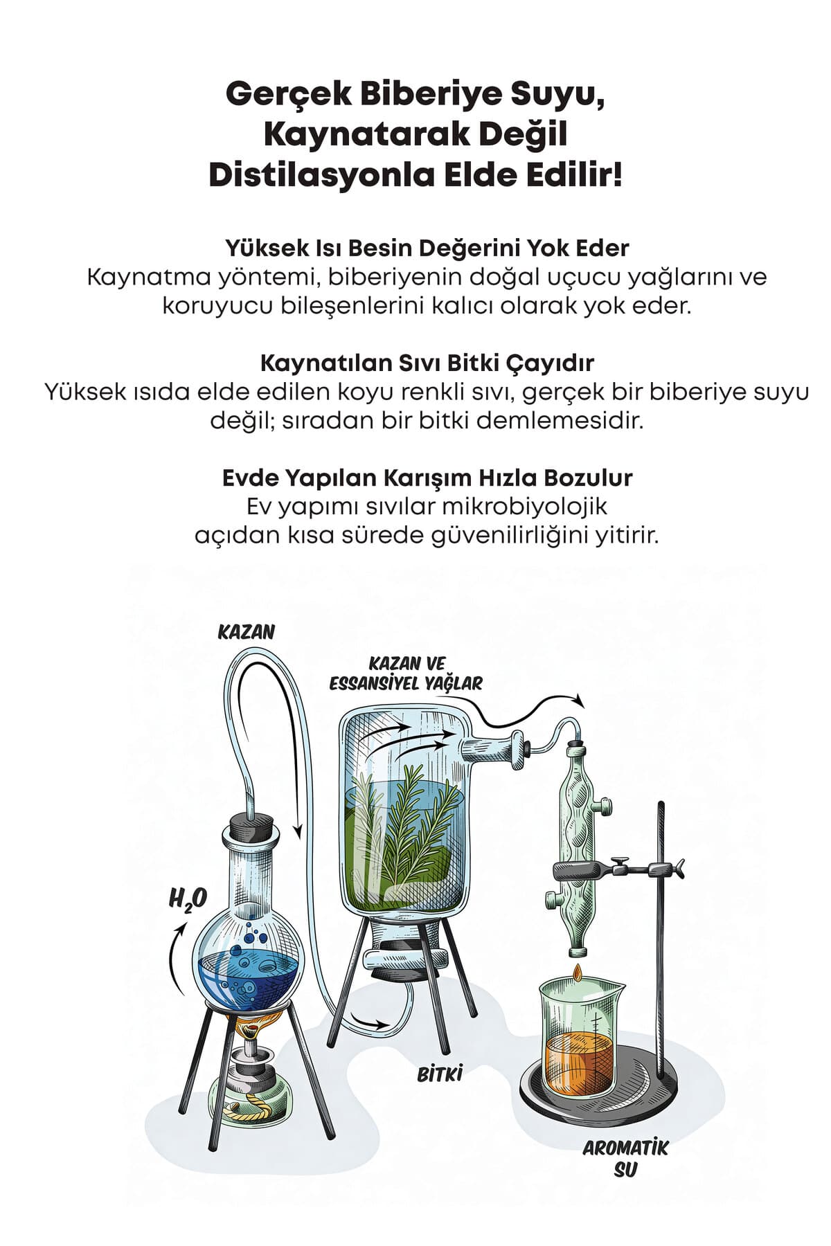 تونیک اسپری Arifoğlu آب رزماری خالص ضد ریزش و رشد مو 100 ml تونیک اسپری Arifoğlu آب رزماری خالص ضد ریزش و رشد مو 100 ml