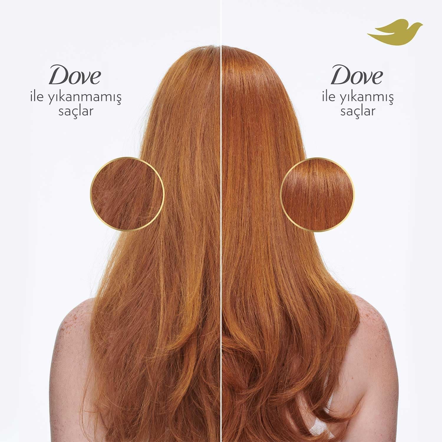 شامپو Dove آمینو سرم ترمیمکننده عمیق 375 ml شامپو Dove آمینو سرم ترمیمکننده عمیق 375 ml