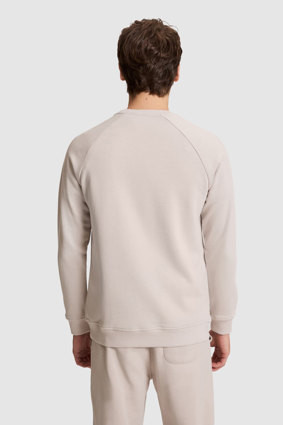سویشرت مردانه U.S. Polo Assn. یقه گرد فیت معمولی ساده سنگی مدل 50329441-VR049 سویشرت مردانه U.S. Polo Assn. یقه گرد فیت معمولی ساده سنگی مدل 50329441-VR049