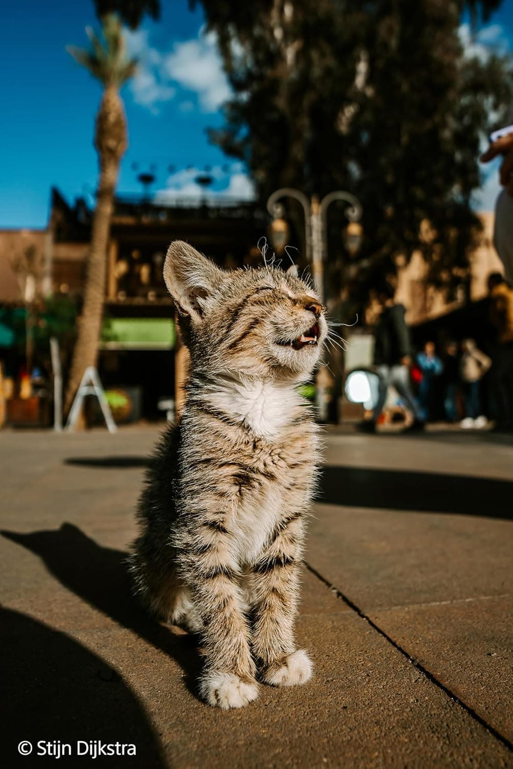 لنز پرایم فوقعریض Sony برای دوربین Full-Frame مدل FE 16mm F1.8 G لنز پرایم فوقعریض Sony برای دوربین Full-Frame مدل FE 16mm F1.8 G