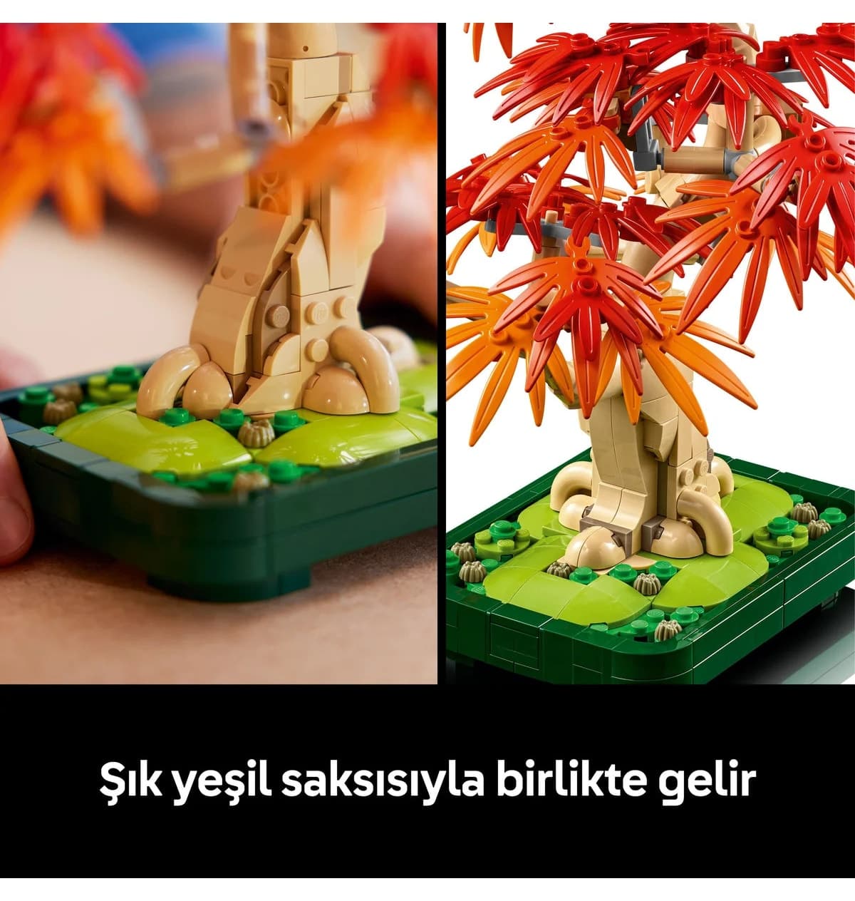 لگو Botanicals درخت بونسای افرای ژاپنی قرمز مدل 10348 با 474 قطعه لگو Botanicals درخت بونسای افرای ژاپنی قرمز مدل 10348 با 474 قطعه
