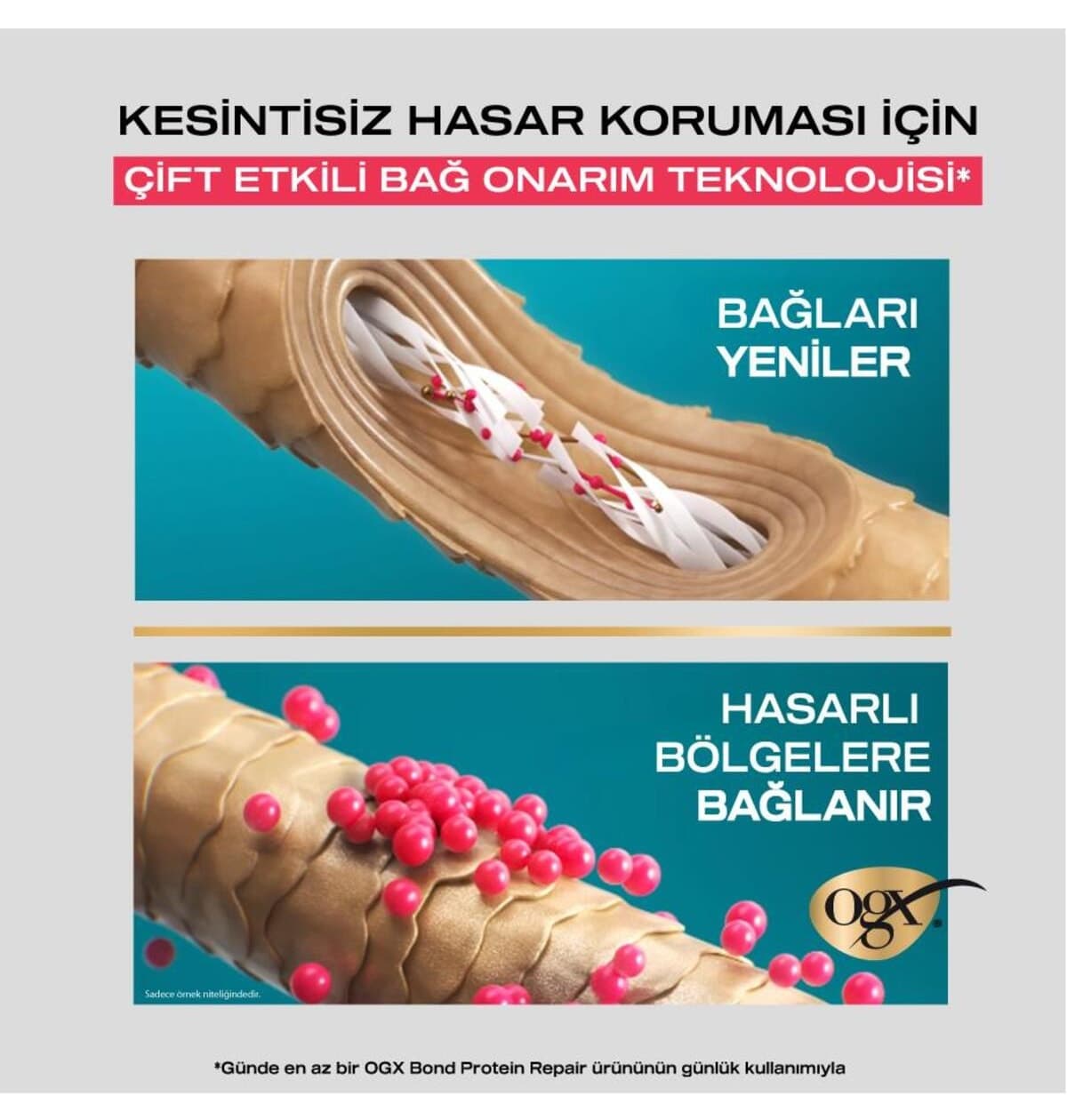 شامپو زنانه OGX Bond Protein Repair بدون سولفات 385 ml شامپو زنانه OGX Bond Protein Repair بدون سولفات 385 ml