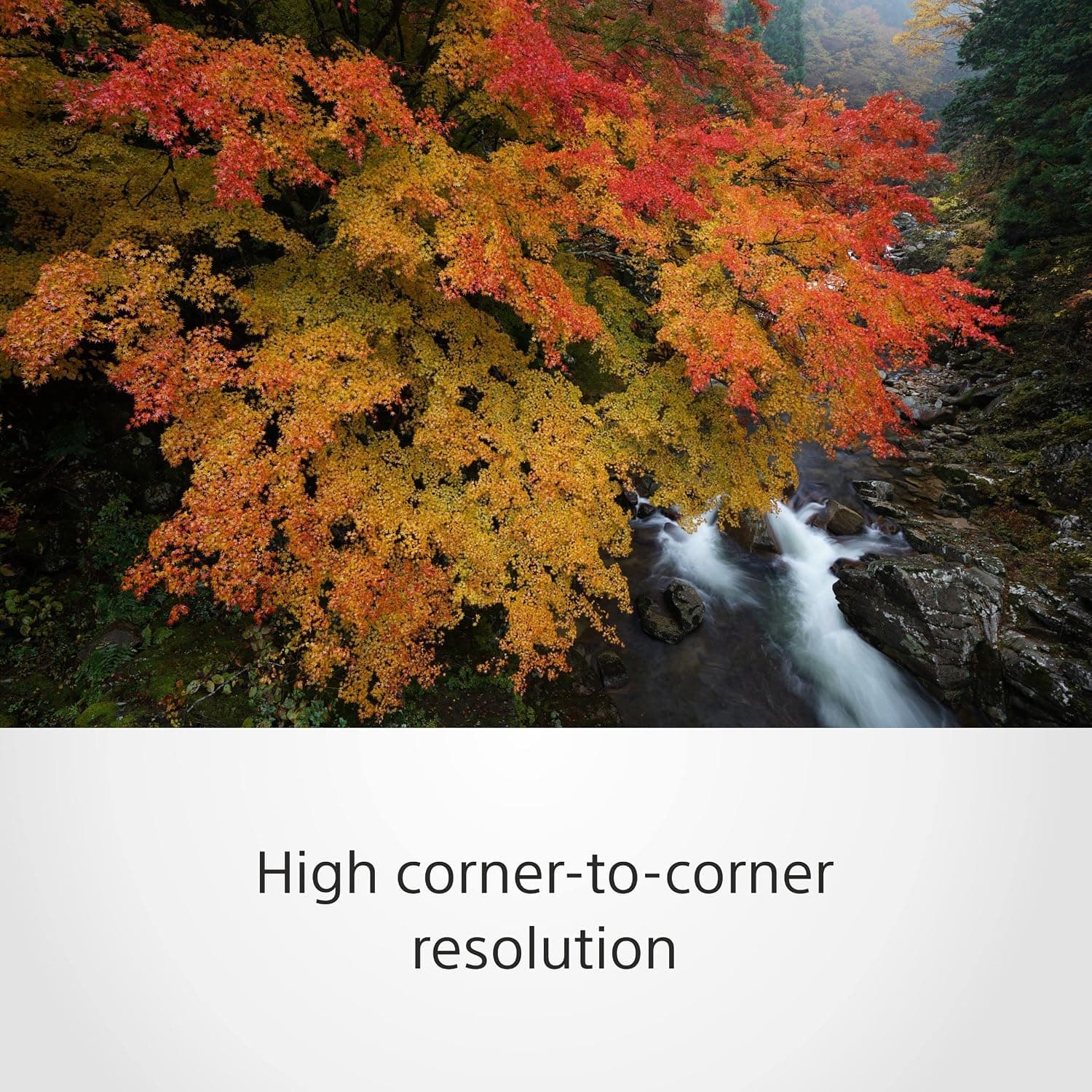 لنز زوم واید Sony G Master FE 16–35 mm F2.8 مدل SEL1635GM مشکی لنز زوم واید Sony G Master FE 16–35 mm F2.8 مدل SEL1635GM مشکی
