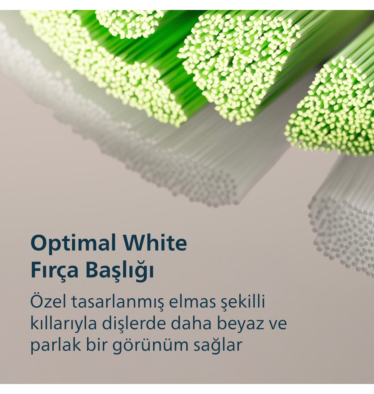 مسواک برقی شارژی Philips Sonicare 3100 مشکی شارژ ۱۴ روزه مدل HX4033/32 مسواک برقی شارژی Philips Sonicare 3100 مشکی شارژ ۱۴ روزه مدل HX4033/32