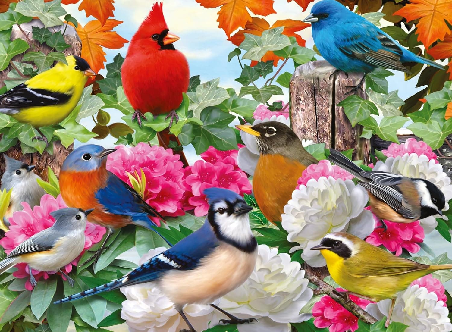 پازل 500 تکه Ravensburger پرندگان باغ مدل 12000147-8 پازل 500 تکه Ravensburger پرندگان باغ مدل 12000147-8