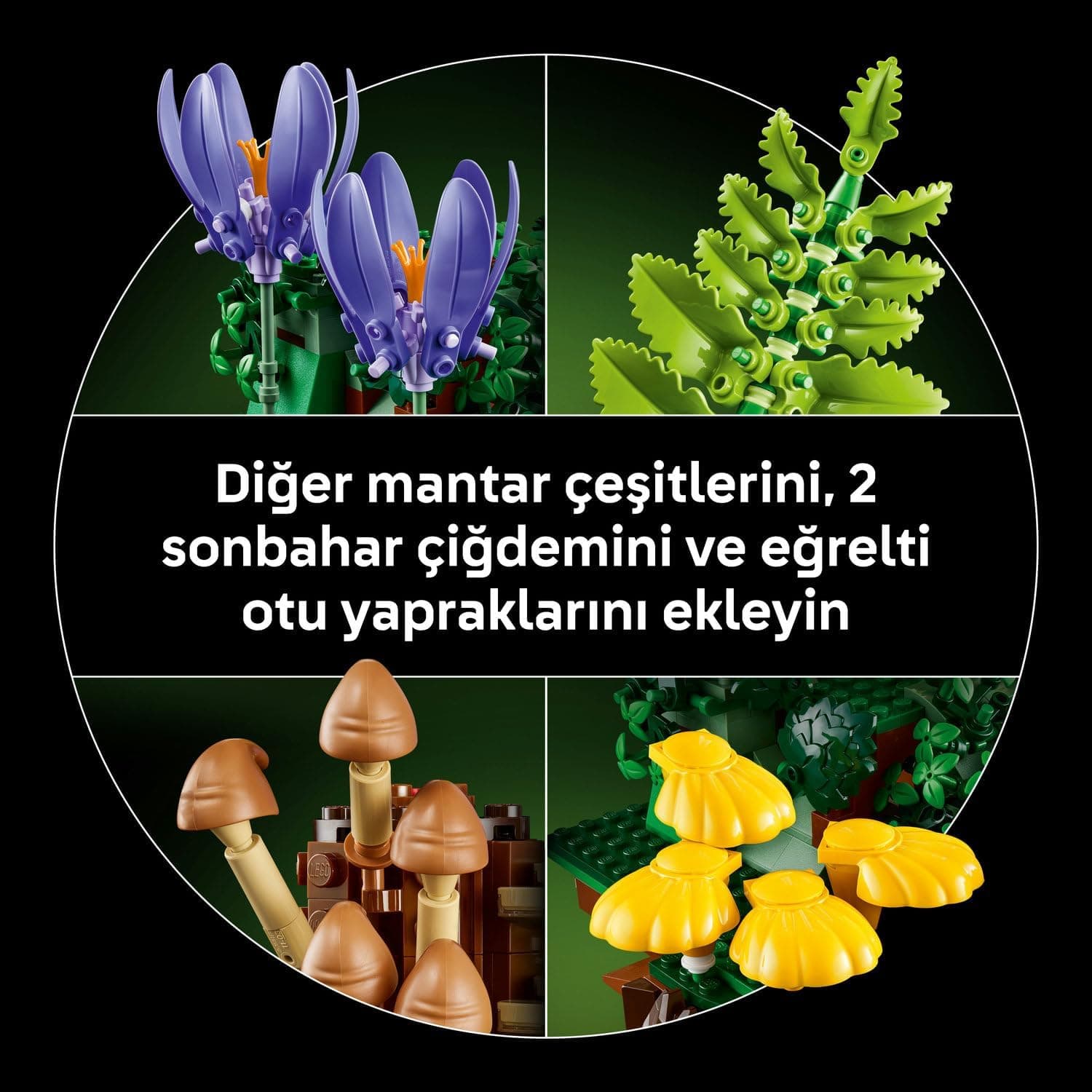 لگو Botanicals قارچهای جنگلی مدل 11505 لگو Botanicals قارچهای جنگلی مدل 11505