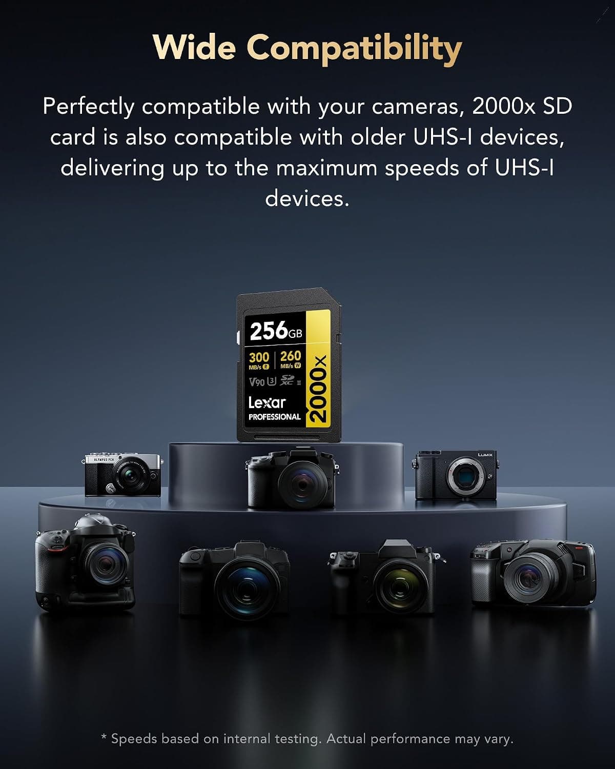 کارت حافظه SDXC دوربین Lexar Professional 2000x ظرفیت 256GB UHS-II U3 V90 مدل LSD2000256G-BNNNU کارت حافظه SDXC دوربین Lexar Professional 2000x ظرفیت 256GB UHS-II U3 V90 مدل LSD2000256G-BNNNU