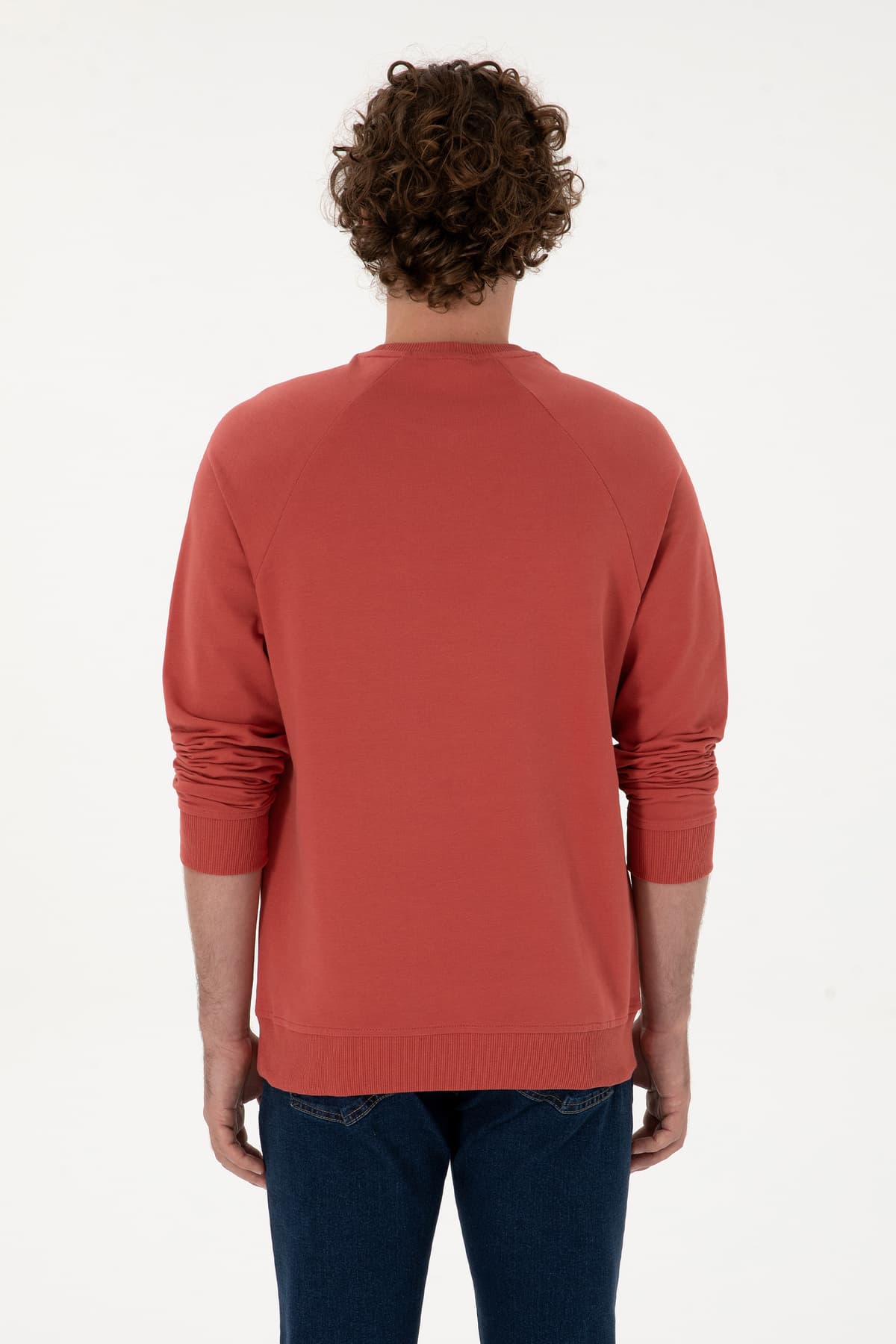 سوئیشرت مردانه U.S. Polo Assn. فیت معمولی یقه گرد گلخشکی نازک بیسیک مدل 50313752-VR026 سوئیشرت مردانه U.S. Polo Assn. فیت معمولی یقه گرد گلخشکی نازک بیسیک مدل 50313752-VR026