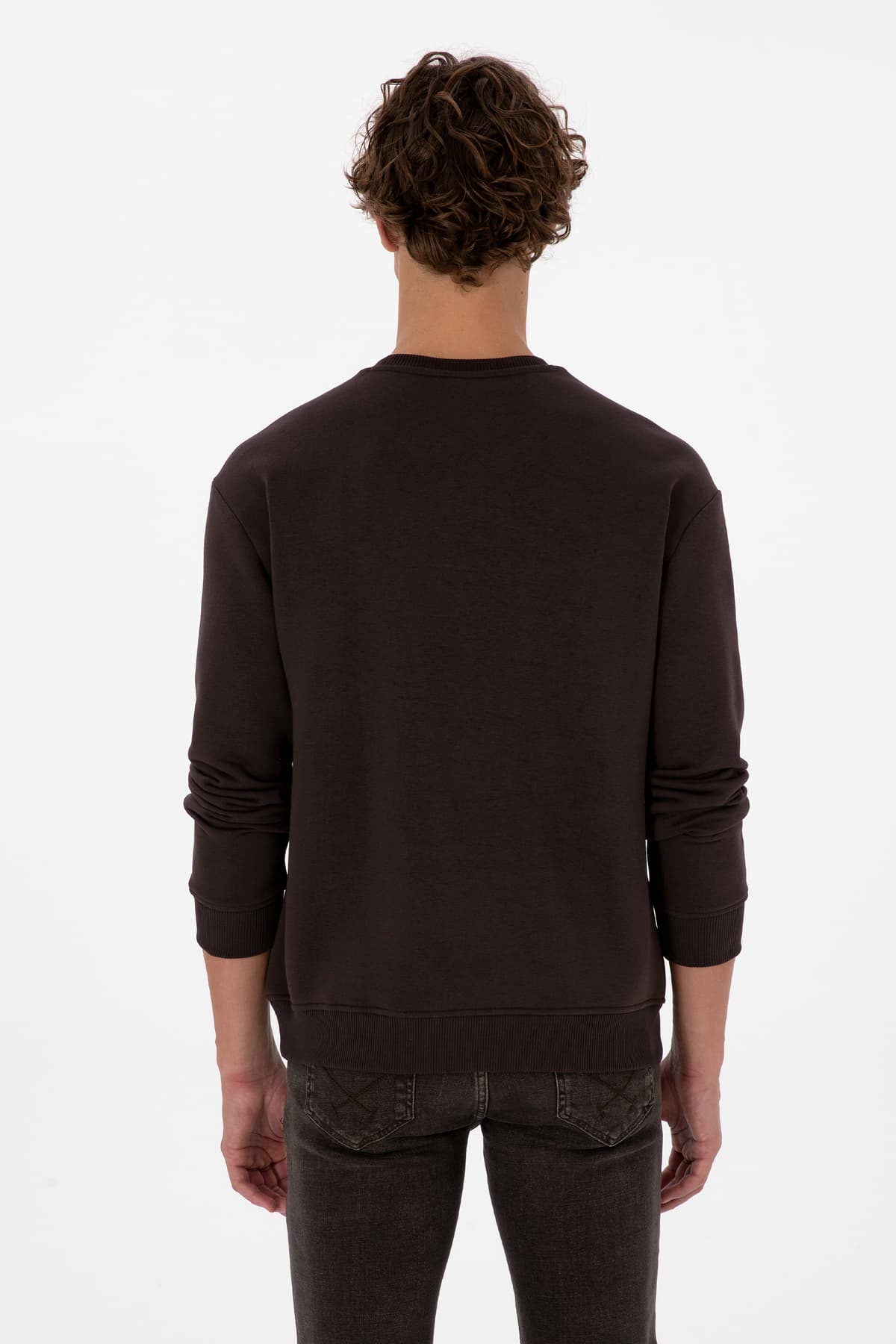 سوئیشرت مردانه U.S. Polo Assn. فیت راحت یقه گرد پرزدار قهوهای مدل 50313757-VR084 سوئیشرت مردانه U.S. Polo Assn. فیت راحت یقه گرد پرزدار قهوهای مدل 50313757-VR084