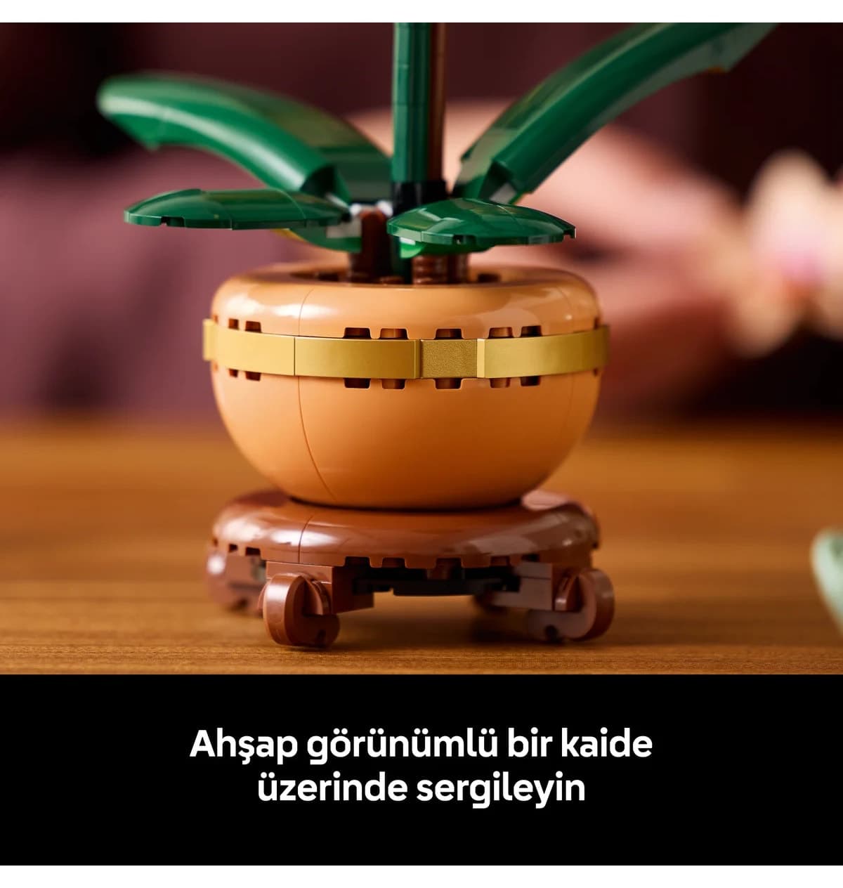 لگو 10343 Botanicals گل ارکیده مینیاتوری برای بزرگسالان با گلهای رنگ روشن (274 قطعه) لگو 10343 Botanicals گل ارکیده مینیاتوری برای بزرگسالان با گلهای رنگ روشن (274 قطعه)