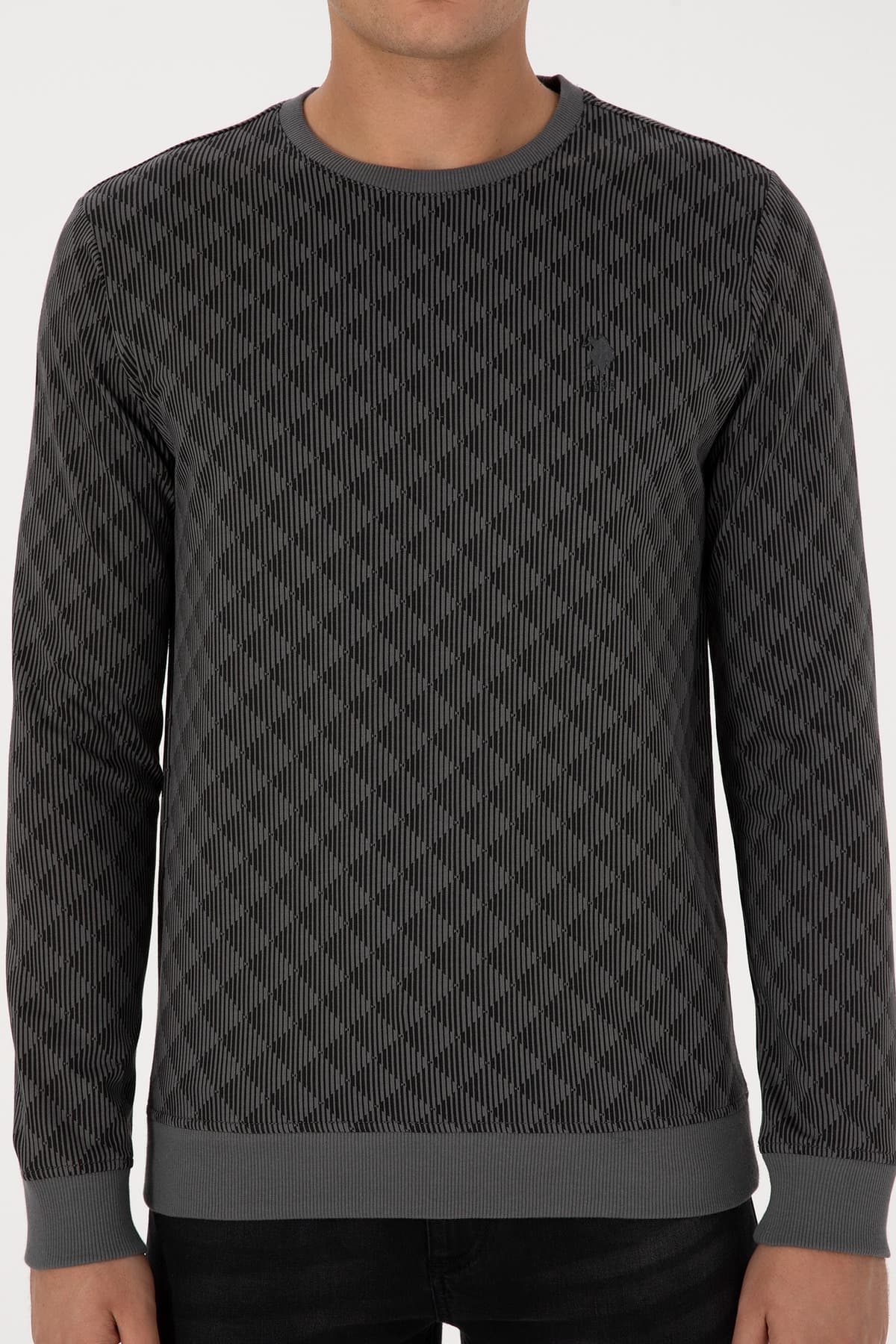 سوئیشرت مردانه U.S. Polo Assn. فیت معمولی یقه گرد آنتراسیت مدل 50309993-VR006 سوئیشرت مردانه U.S. Polo Assn. فیت معمولی یقه گرد آنتراسیت مدل 50309993-VR006