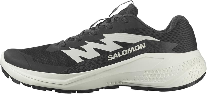 کفش پیادهروی مردانه Salomon مدل Alphaglide کفش پیادهروی مردانه Salomon مدل Alphaglide