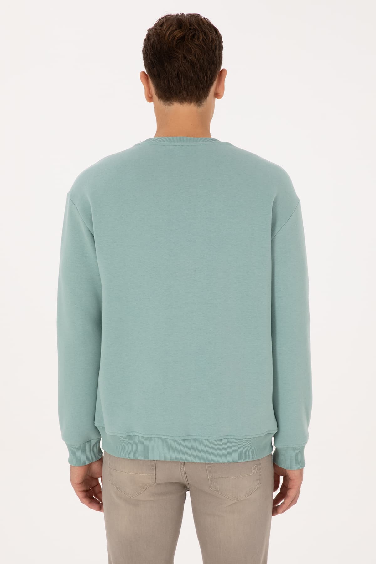 سوئیشرت مردانه U.S. Polo Assn. فیت راحت یقه گرد شاردونه نعنایی بیسیک مدل 50313757-VR090 سوئیشرت مردانه U.S. Polo Assn. فیت راحت یقه گرد شاردونه نعنایی بیسیک مدل 50313757-VR090