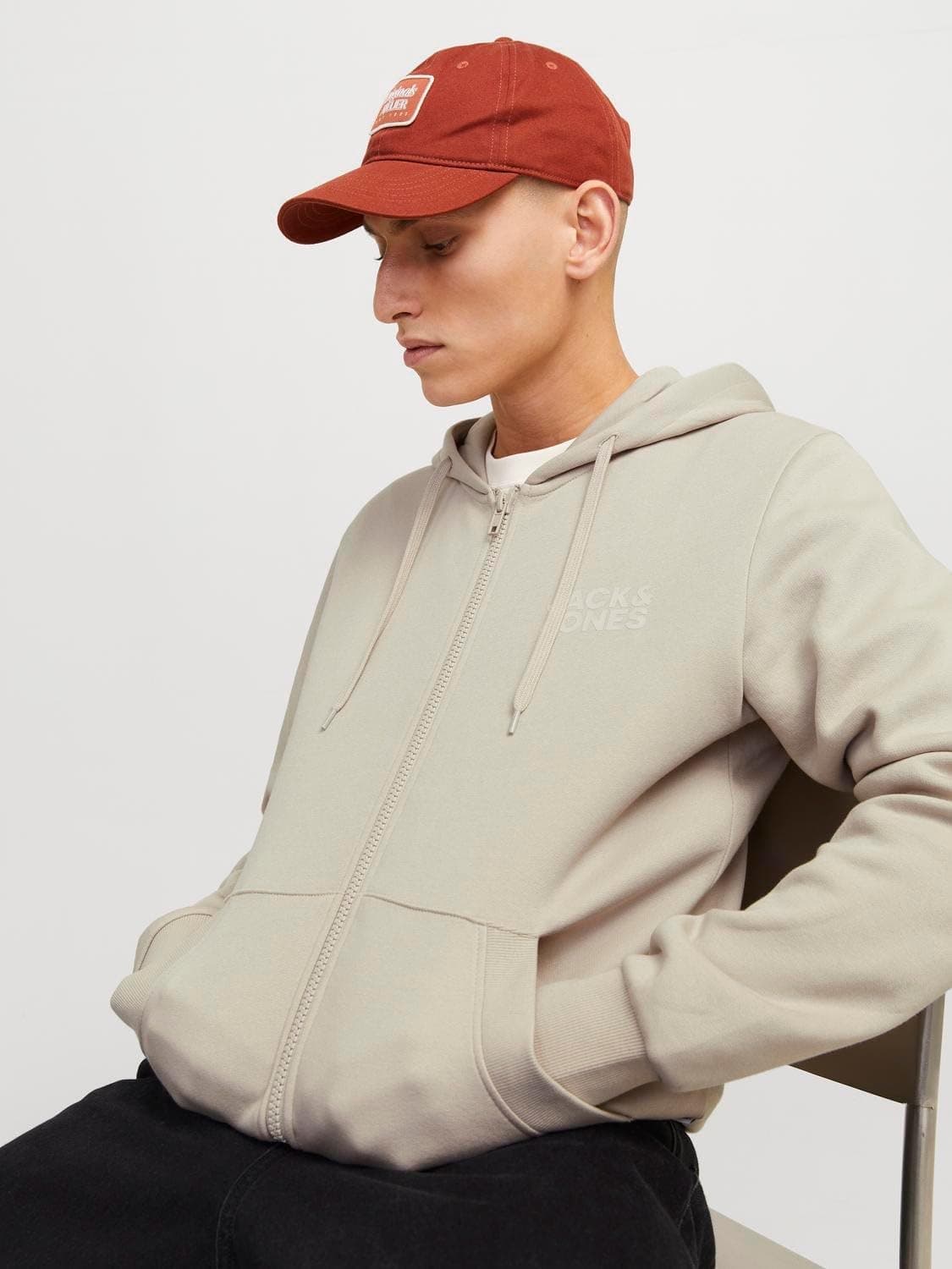 سویشرت مردانه JACK & JONES با کلاه زیپدار مدل JJECORP LOGO مهتابی سایز L سویشرت مردانه JACK & JONES با کلاه زیپدار مدل JJECORP LOGO مهتابی سایز L