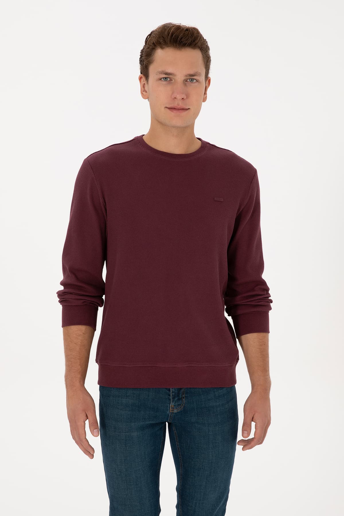 سوئیشرت مردانه U.S. Polo Assn. فیت معمولی یقه گرد بوردو مدل 50316390-VR177 سوئیشرت مردانه U.S. Polo Assn. فیت معمولی یقه گرد بوردو مدل 50316390-VR177