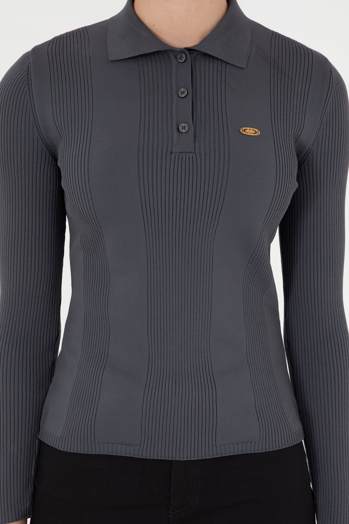 پلیور زنانه U.S. Polo Assn. یقه پولو رنگ آنتراسیت مدل 50297087-VR006 پلیور زنانه U.S. Polo Assn. یقه پولو رنگ آنتراسیت مدل 50297087-VR006
