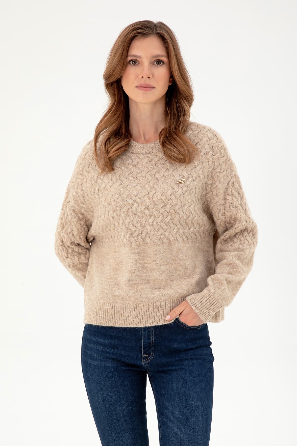 پلیور زنانه U.S. Polo Assn. ملانژ شنی یقه گرد مدل 50293156-VR123 پلیور زنانه U.S. Polo Assn. ملانژ شنی یقه گرد مدل 50293156-VR123