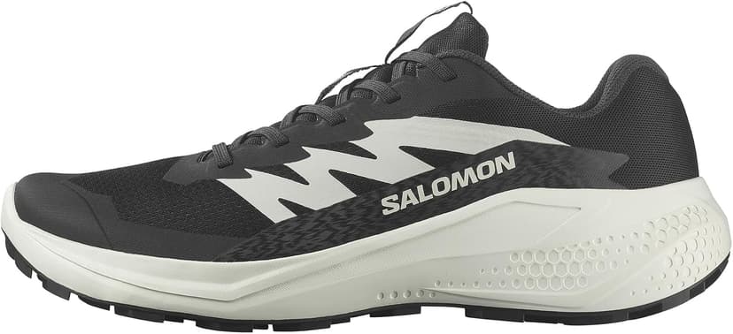کفش پیادهروی مردانه Salomon Alphaglide کفش پیادهروی مردانه Salomon Alphaglide