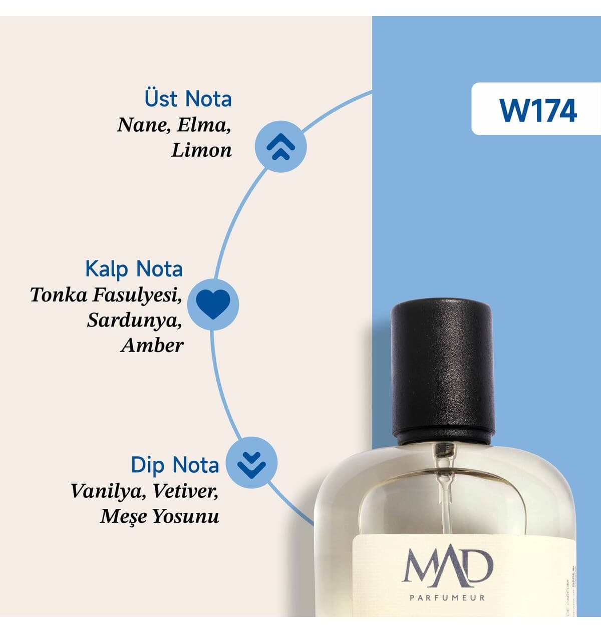 عطر مردانه Mad Parfüm Selective 50 ml مدل W174 عطر مردانه Mad Parfüm Selective 50 ml مدل W174