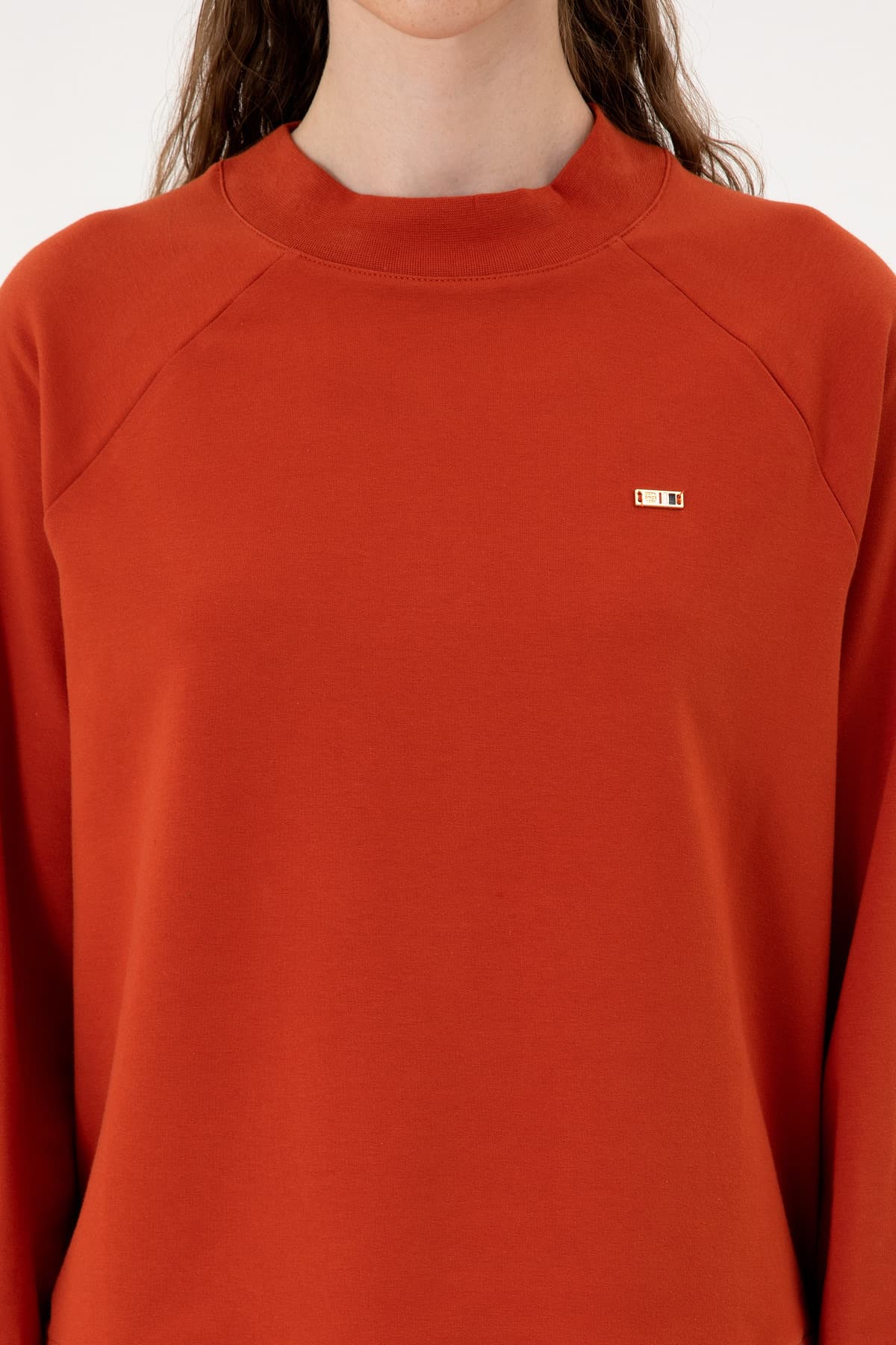 سوئیشرت زنانه U.S. Polo Assn. آجری یقه گرد فیت معمولی بیسیک مدل 50313610-VR031 سوئیشرت زنانه U.S. Polo Assn. آجری یقه گرد فیت معمولی بیسیک مدل 50313610-VR031
