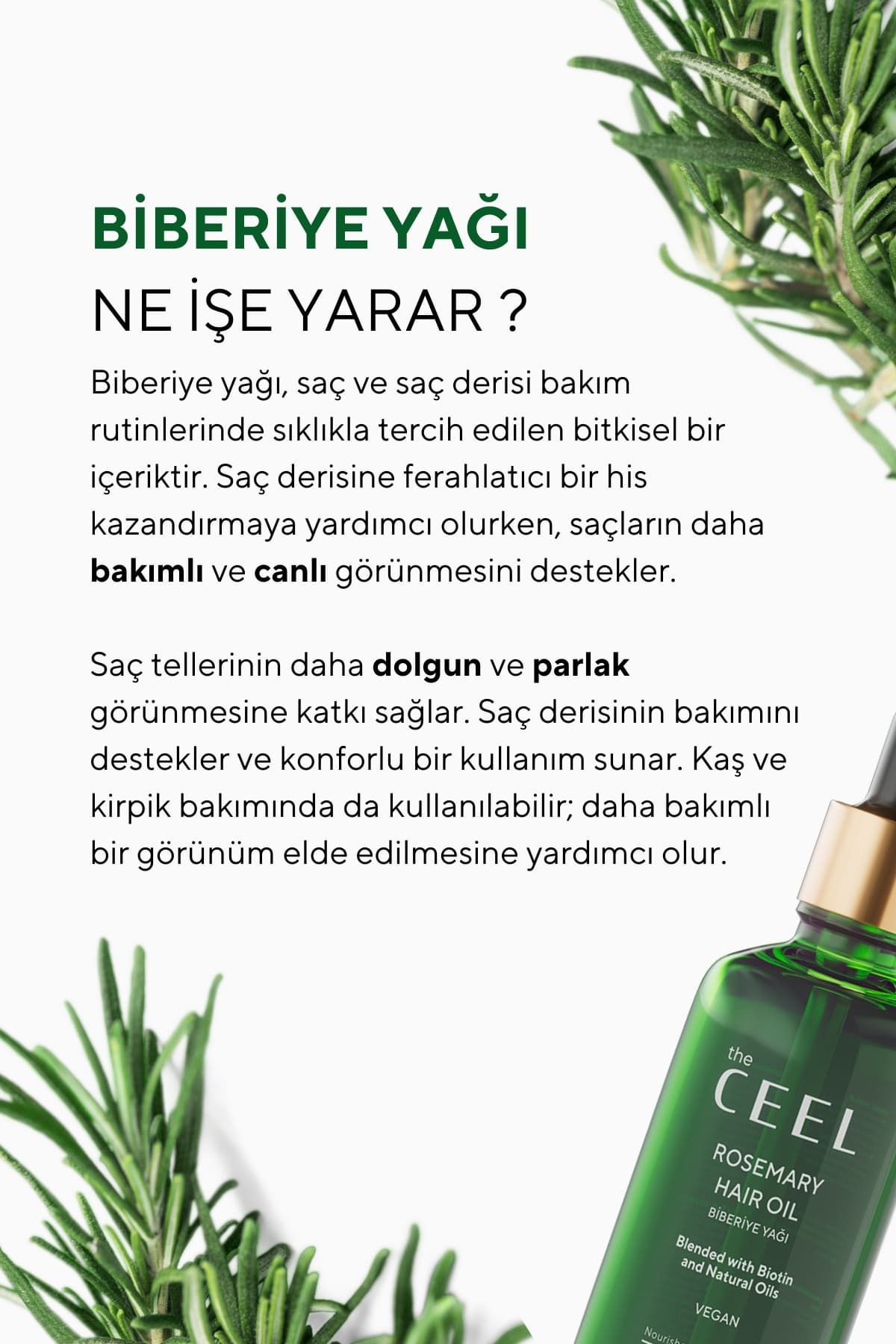 کمپلکس روغن موی رزماری The Ceel حاوی بیوتین، روغن کرچک و ویتامین E 50 ML کمپلکس روغن موی رزماری The Ceel حاوی بیوتین، روغن کرچک و ویتامین E 50 ML