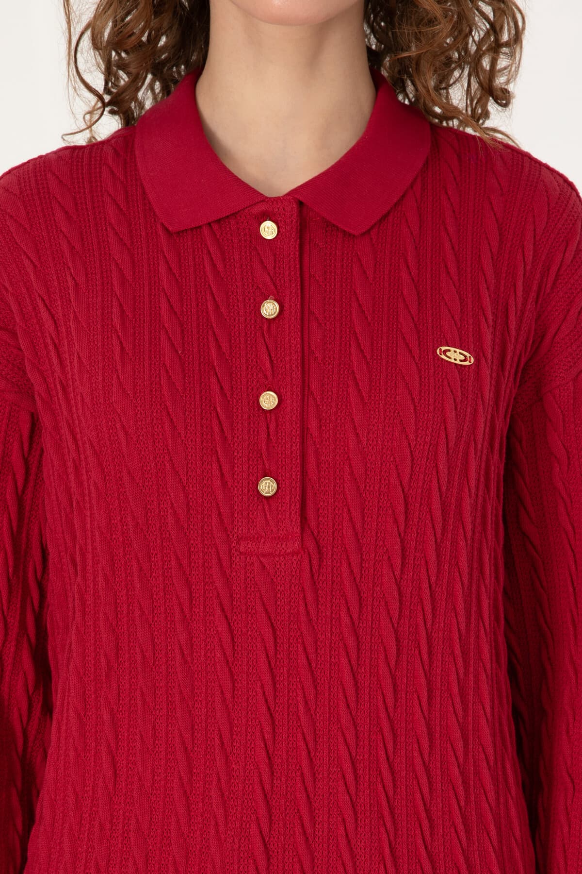 سوئیشرت زنانه U.S. Polo Assn. رنگ فرامبوآز تیره مدل 50313553-VR104 سوئیشرت زنانه U.S. Polo Assn. رنگ فرامبوآز تیره مدل 50313553-VR104