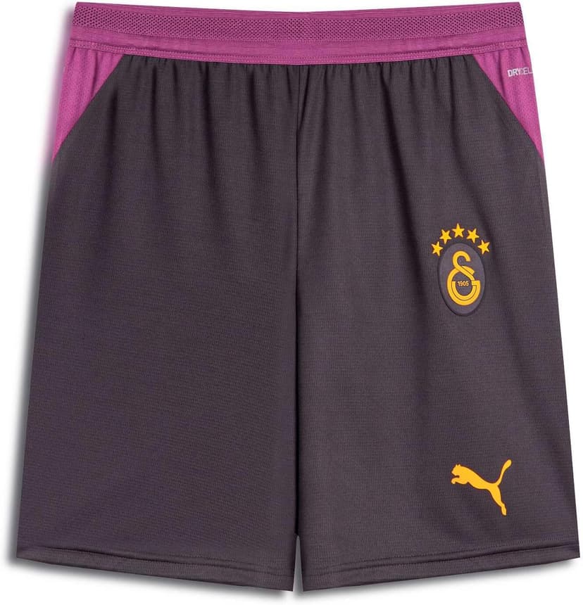 شورت مردانه PUMA Galatasaray 26/27 سیاه شورت مردانه PUMA Galatasaray 26/27 سیاه