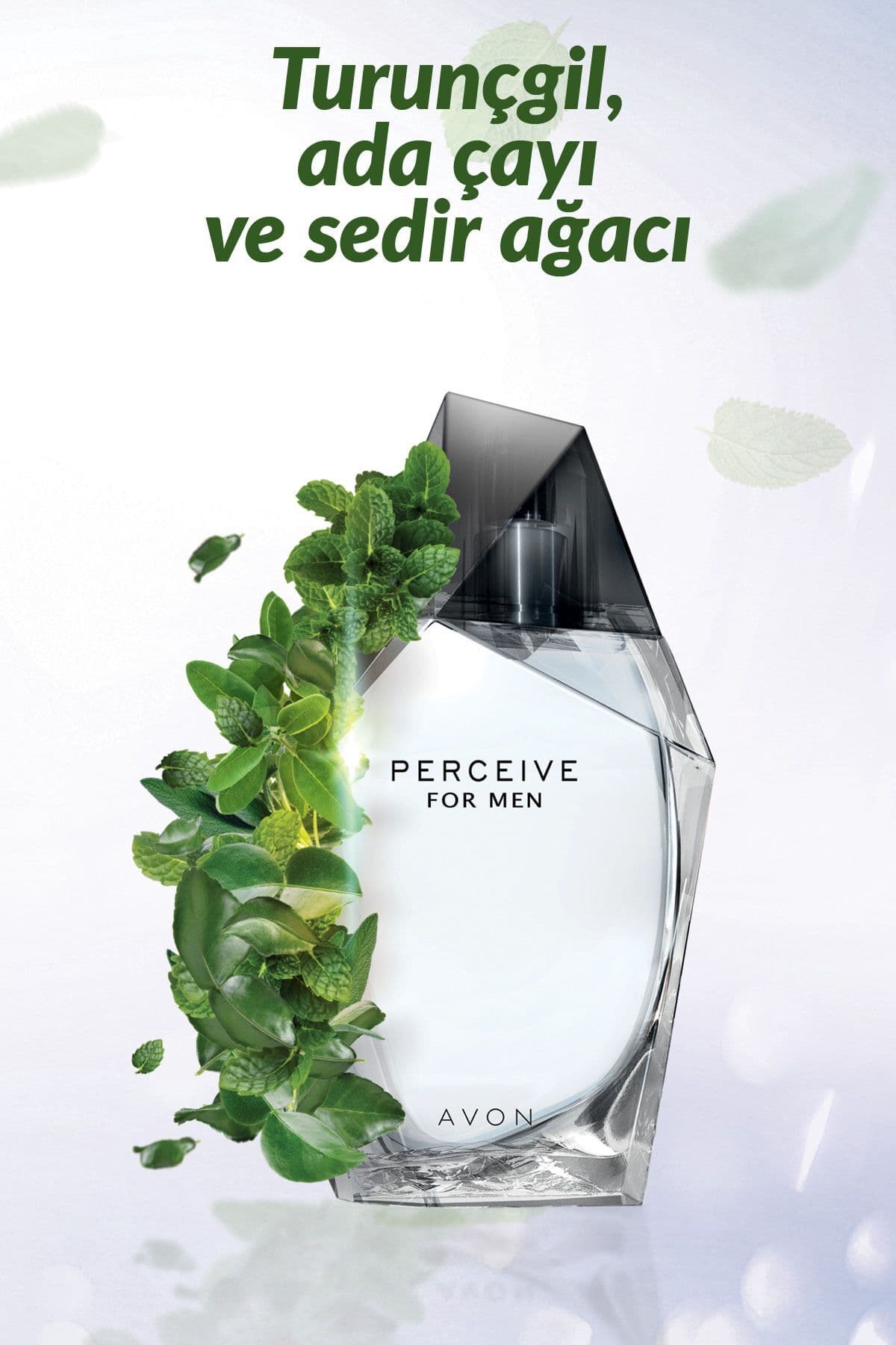 عطر مردانه Avon Perceive ادو تویلت 100 ml عطر مردانه Avon Perceive ادو تویلت 100 ml