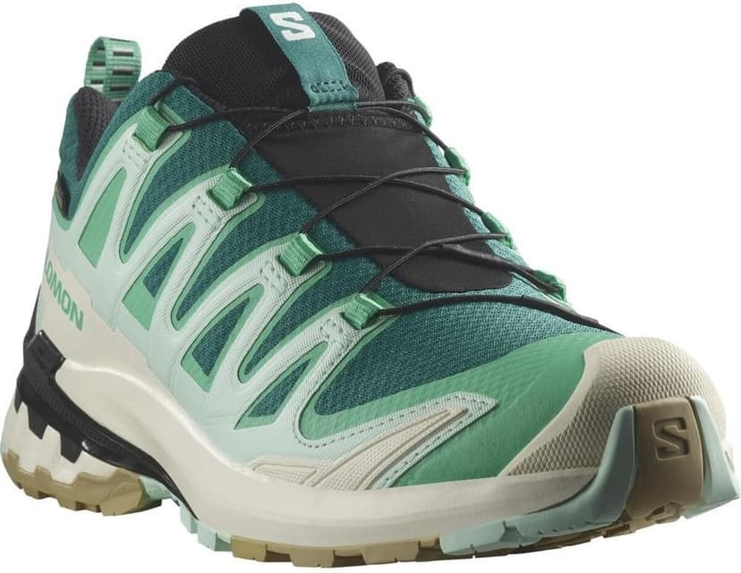 کفش پیادهروی زنانه SALOMON مدل XA PRO 3D V9 GTX کفش پیادهروی زنانه SALOMON مدل XA PRO 3D V9 GTX