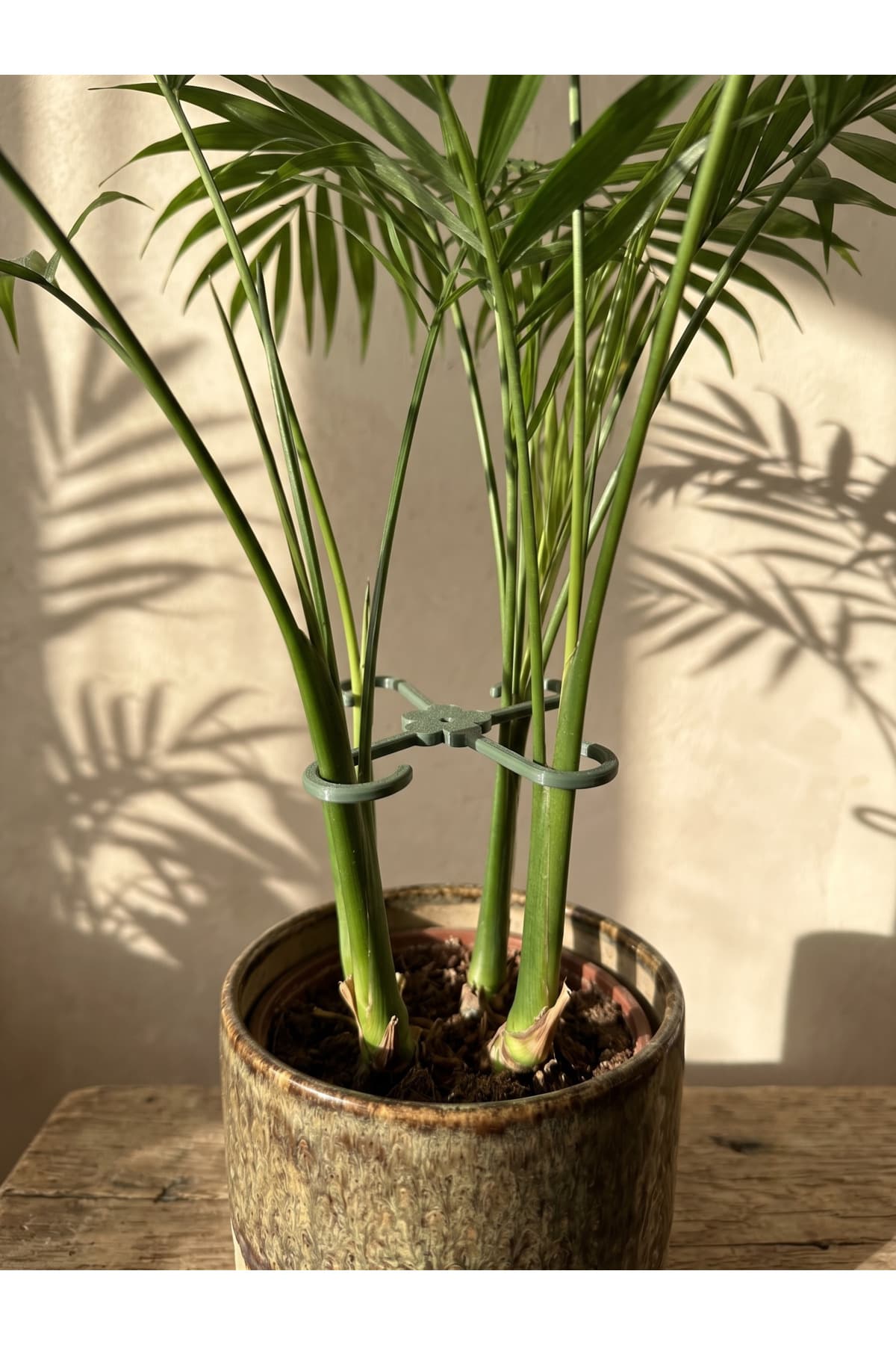 گیره تثبیتکننده ساقه گیاه 4 عددی Elana Design برای گیاهان با شاخههای ضخیم گیره تثبیتکننده ساقه گیاه 4 عددی Elana Design برای گیاهان با شاخههای ضخیم
