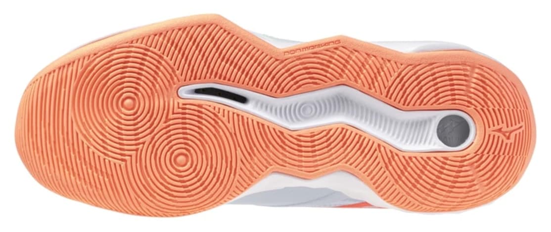کفش والیبال زنانه Mizuno آبی مدل Wave Momentum Pro کفش والیبال زنانه Mizuno آبی مدل Wave Momentum Pro