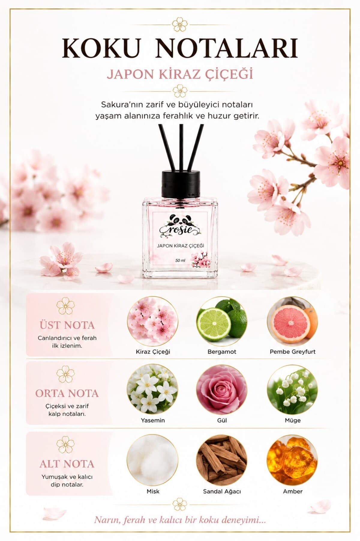 دیفیوزر عطر اتاق Rosie با رایحه شکوفه گیلاس ژاپنی و چوب رید دیفیوزر عطر اتاق Rosie با رایحه شکوفه گیلاس ژاپنی و چوب رید