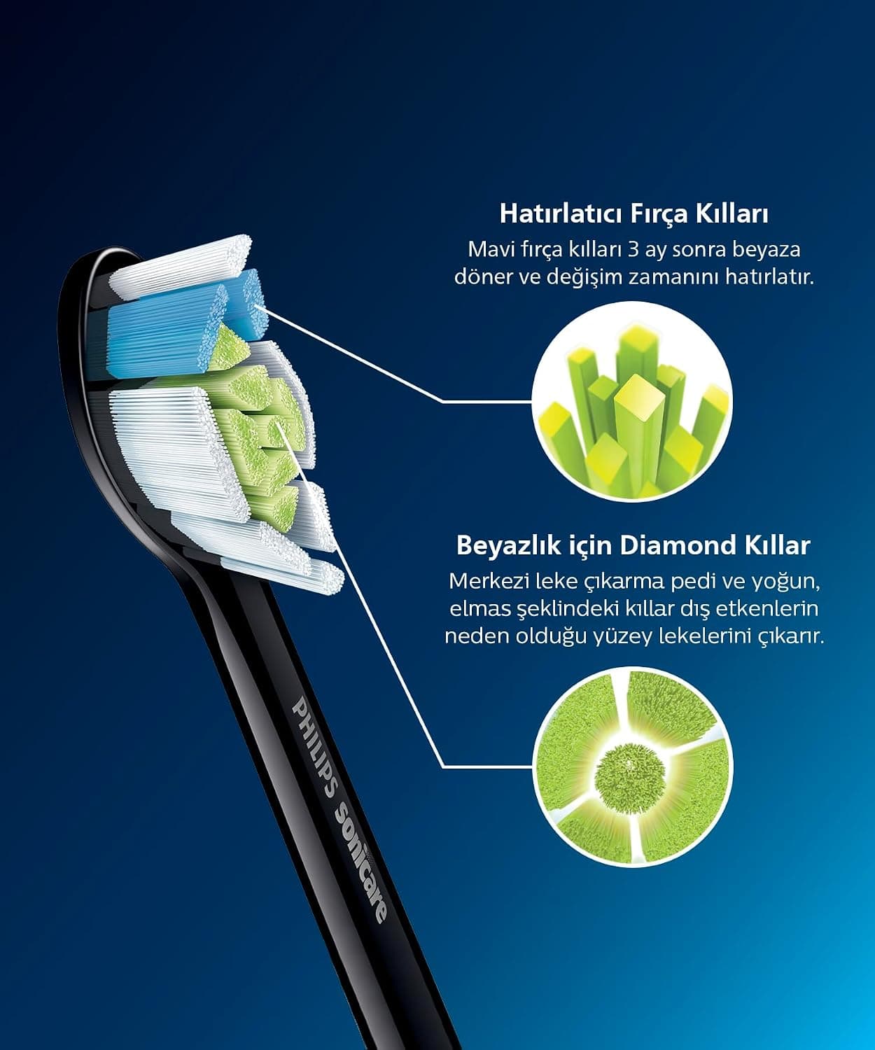 سری یدکی مسواک برقی PHILIPS Sonicare Optimal White با برس متوسطنرم، 2 عددی، مشکی مدل HX6062/88 سری یدکی مسواک برقی PHILIPS Sonicare Optimal White با برس متوسطنرم، 2 عددی، مشکی مدل HX6062/88