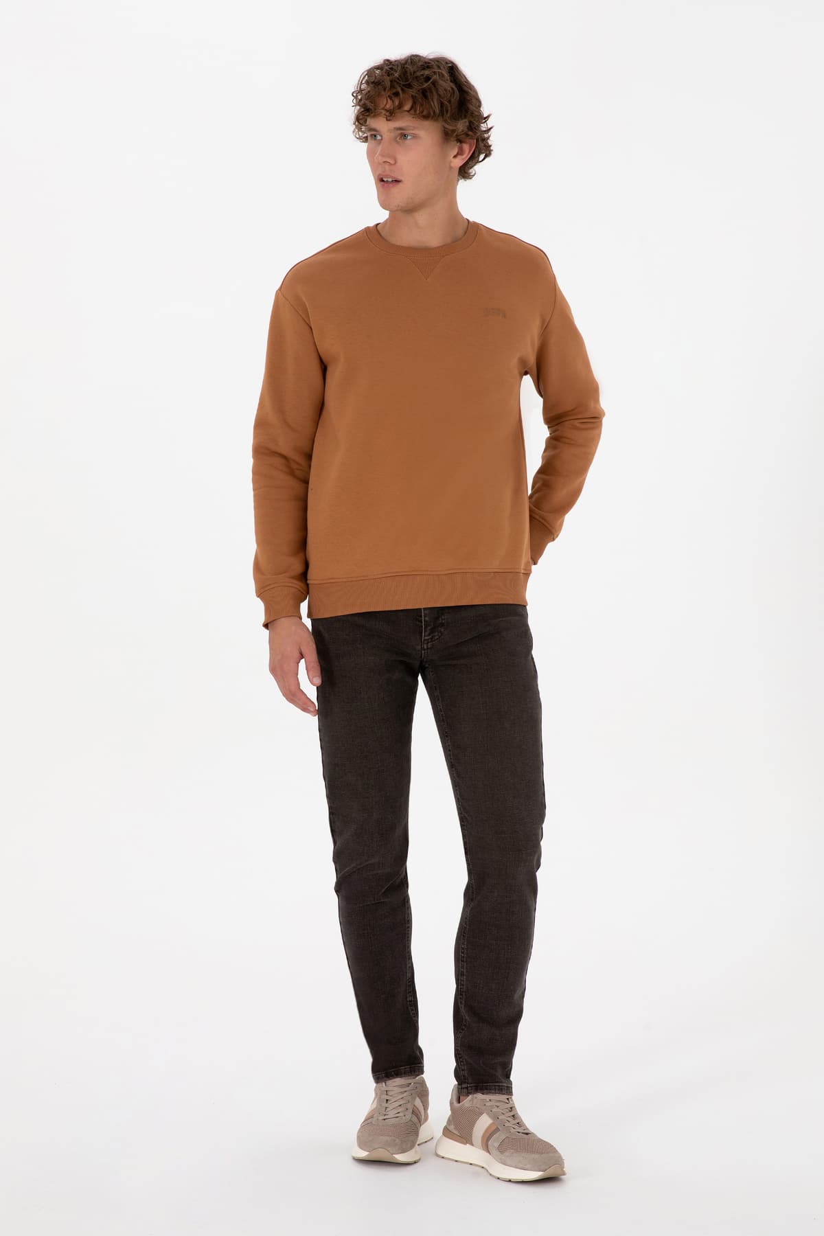 سویشرت مردانه U.S. Polo Assn. کامفورتفیت یقه گرد پرزدار شتری Basic مدل 50313757-VR233 سویشرت مردانه U.S. Polo Assn. کامفورتفیت یقه گرد پرزدار شتری Basic مدل 50313757-VR233
